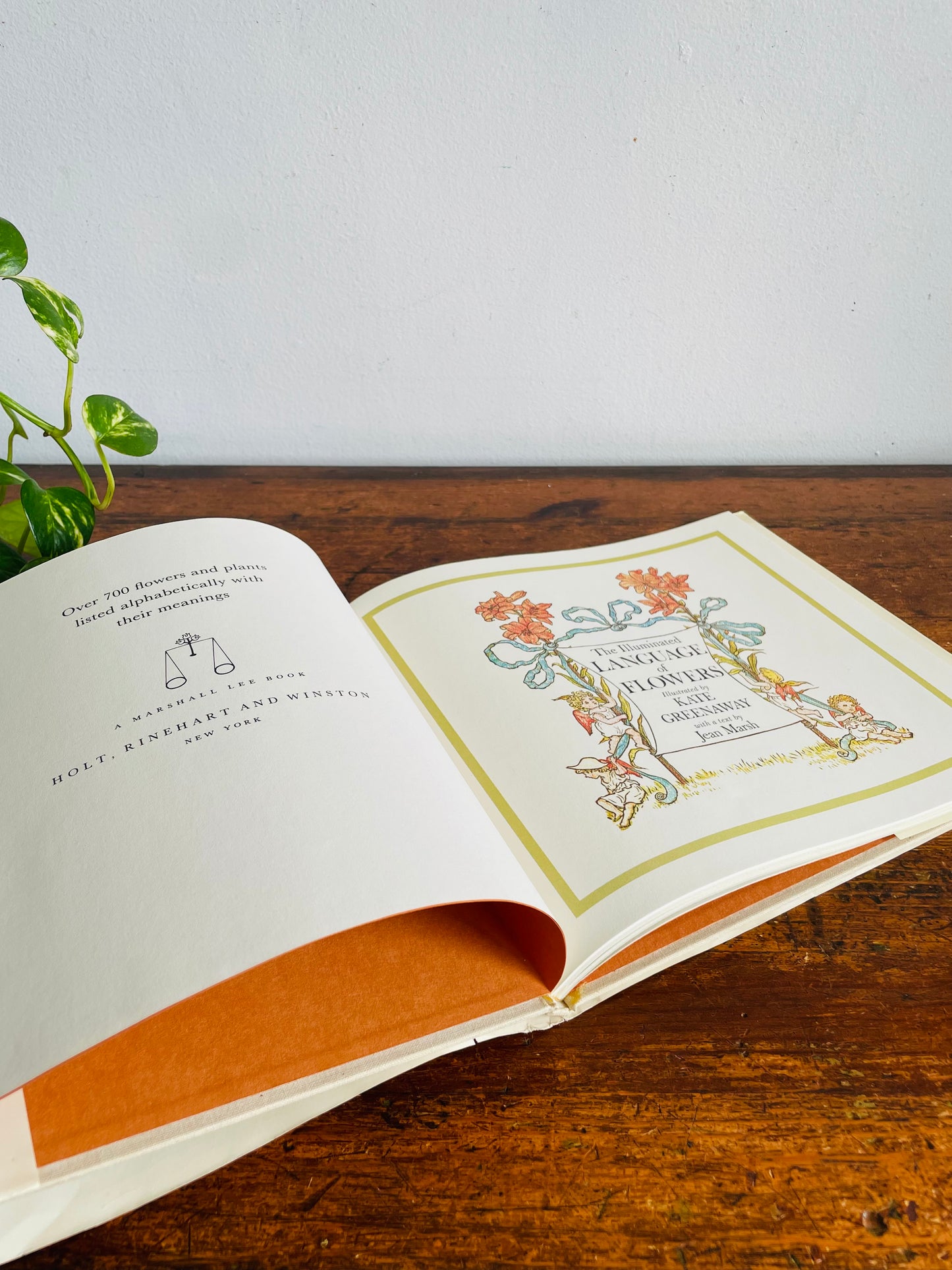 Vintage The Illuminated Language of Flowers Hardcover Book Illustrated by Kate Greenaway with Text by Jean Marsh (1978)