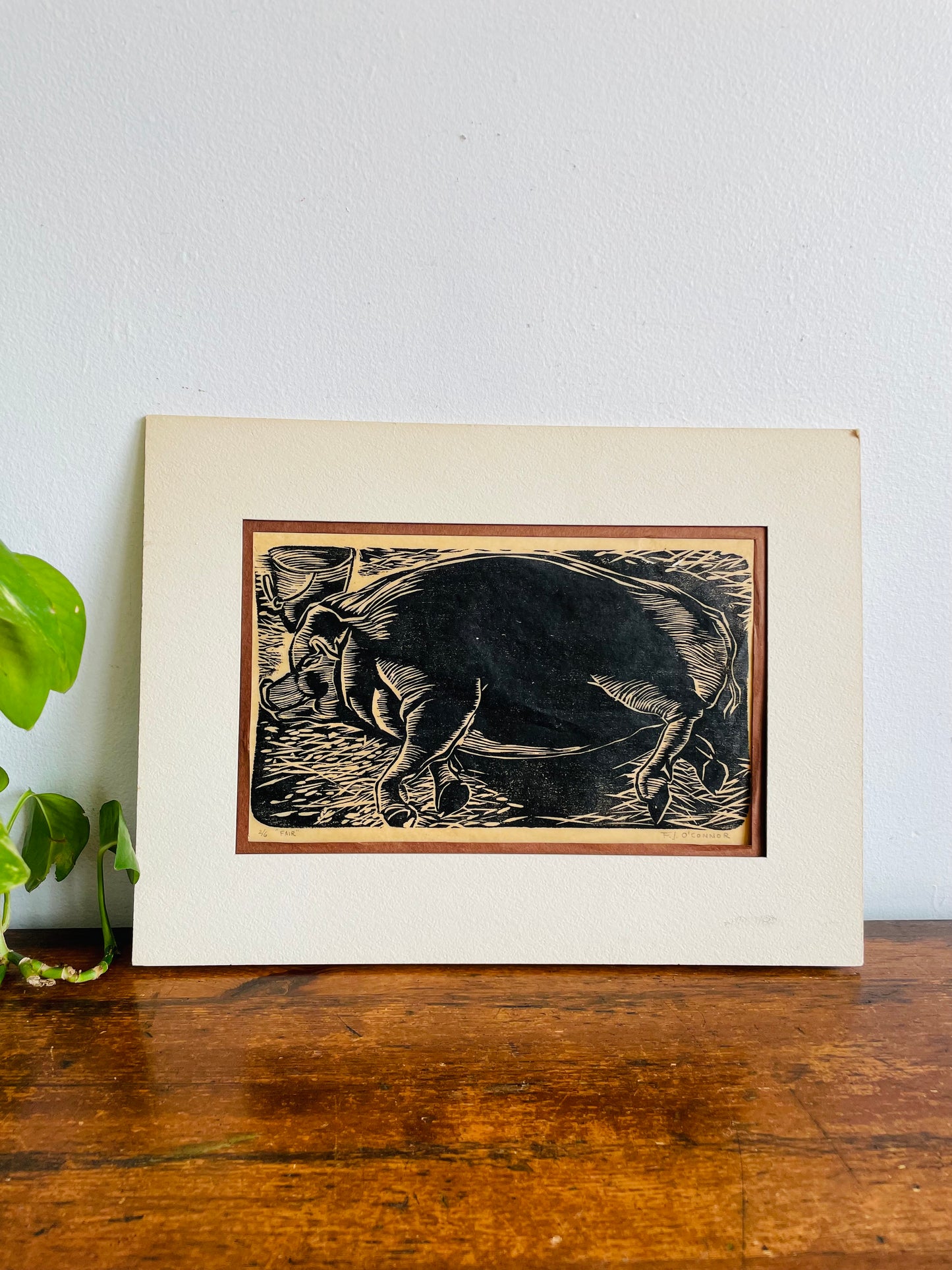 Matted Woodcut Print Picture of Prize Sow Pig - Signed & Numbered - 2/6 "Fair" by F.J. O'Connor