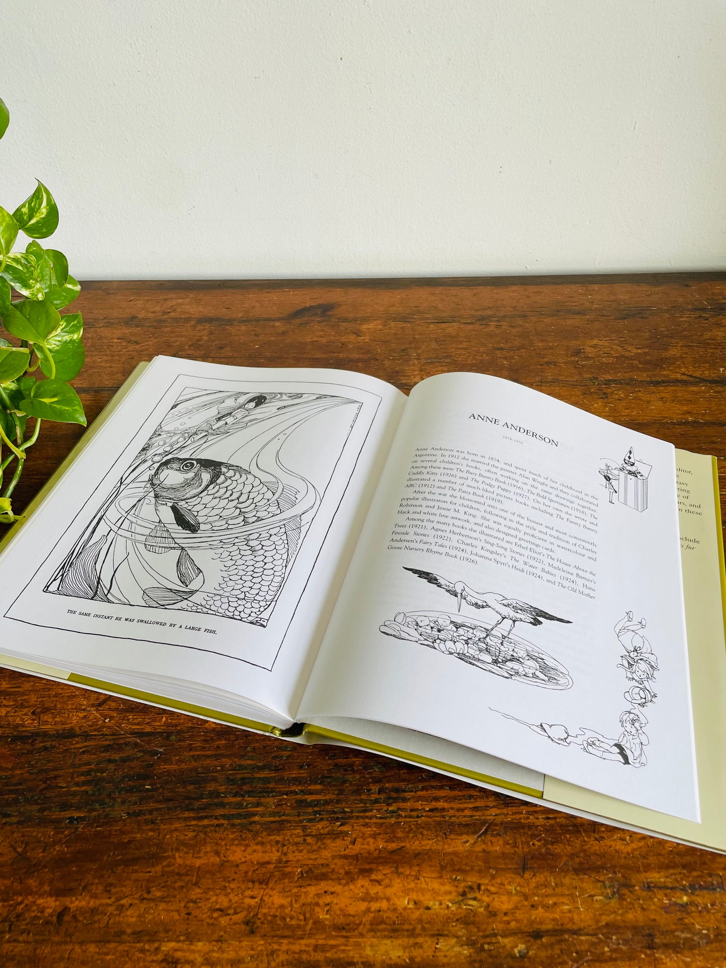 Vintage The Golden Age of Children's Book Illustration Hardcover Book by Richard Dalby (1991)