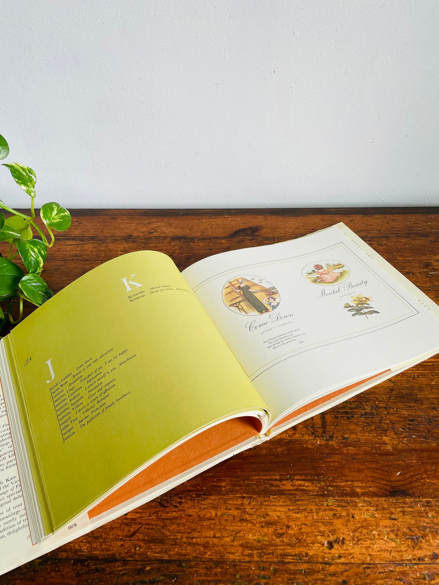 Vintage The Illuminated Language of Flowers Hardcover Book Illustrated by Kate Greenaway with Text by Jean Marsh (1978)