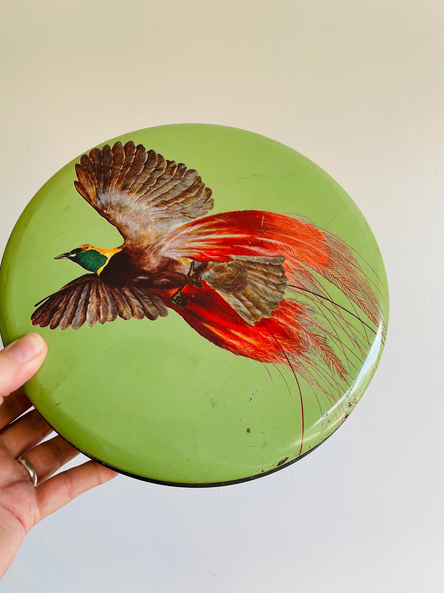 Bird of Paradise Round Biscuit Tin with Lid