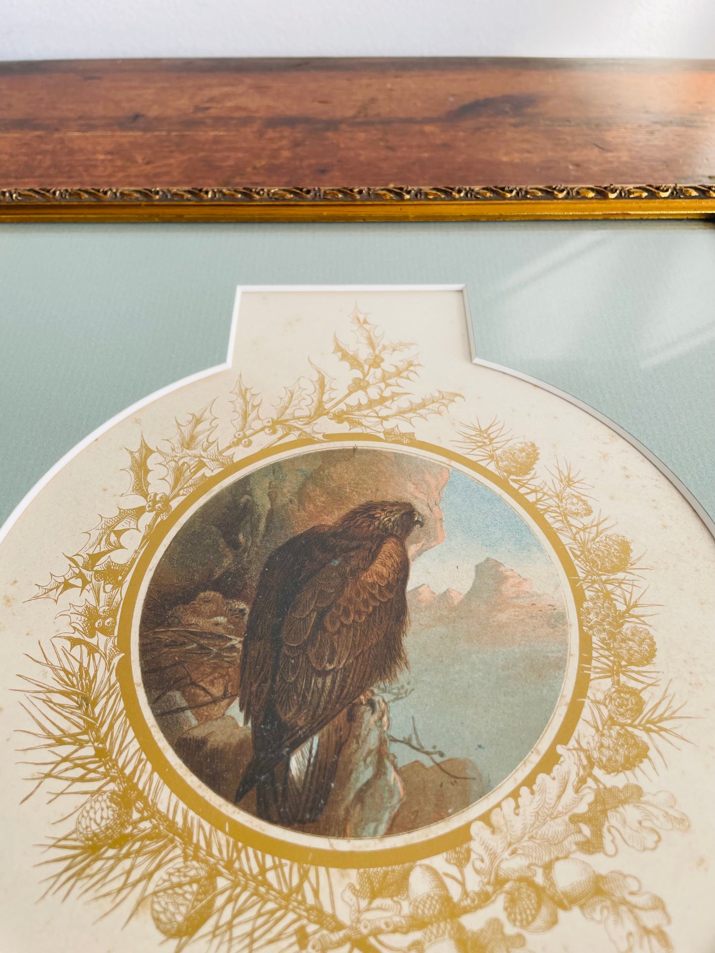 Vintage Illustrated Print Picture of Golden Eagle Bird with Chicks in Nest Overlooking Mountains - Gold Frame & Details, Unique Mat & Professionally Framed - Stunning Colours!