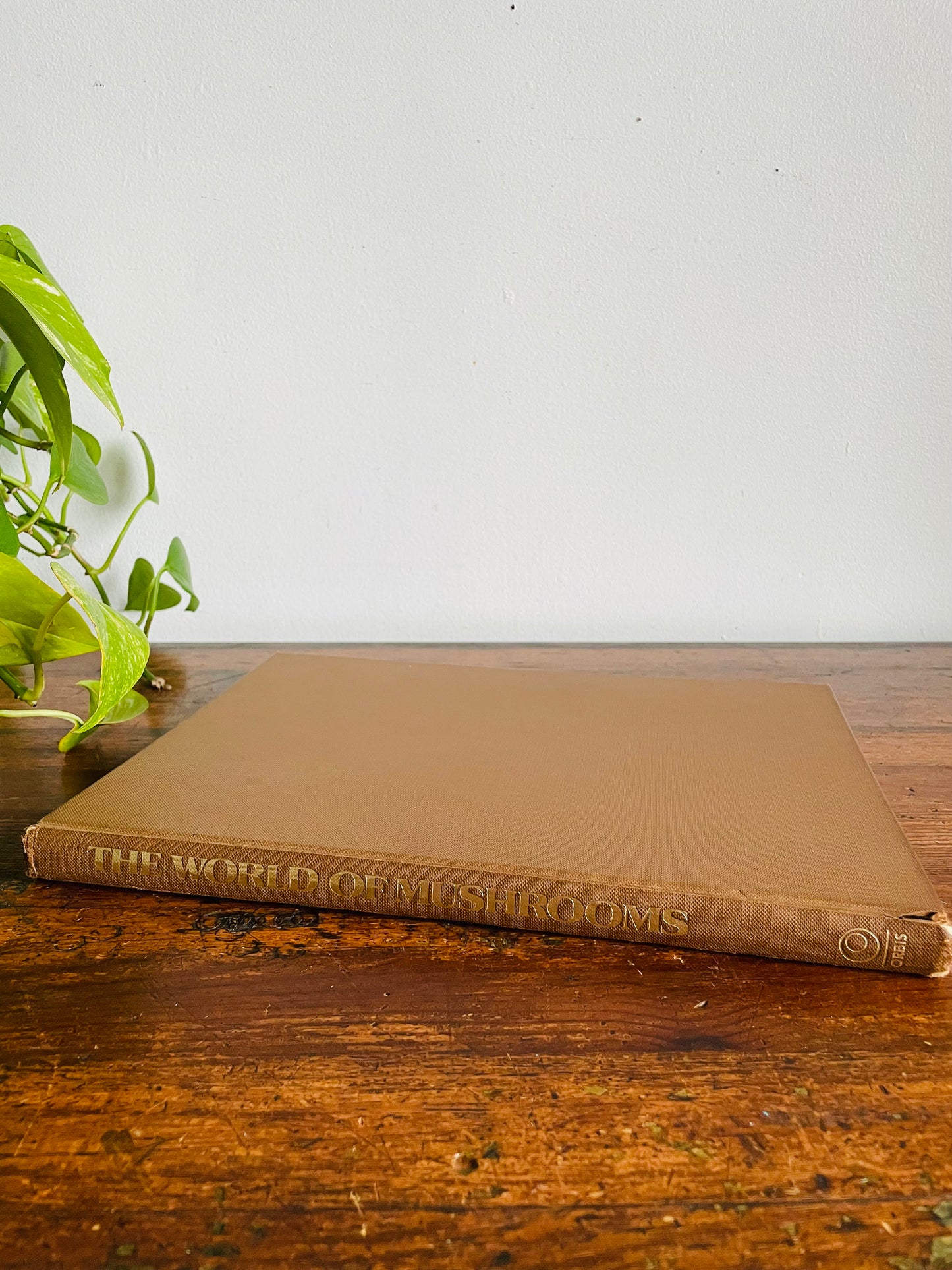 Vintage The World of Mushrooms Hardcover Coffee Table Book - Adapted from the Italian of Uberto Tosco (1973)