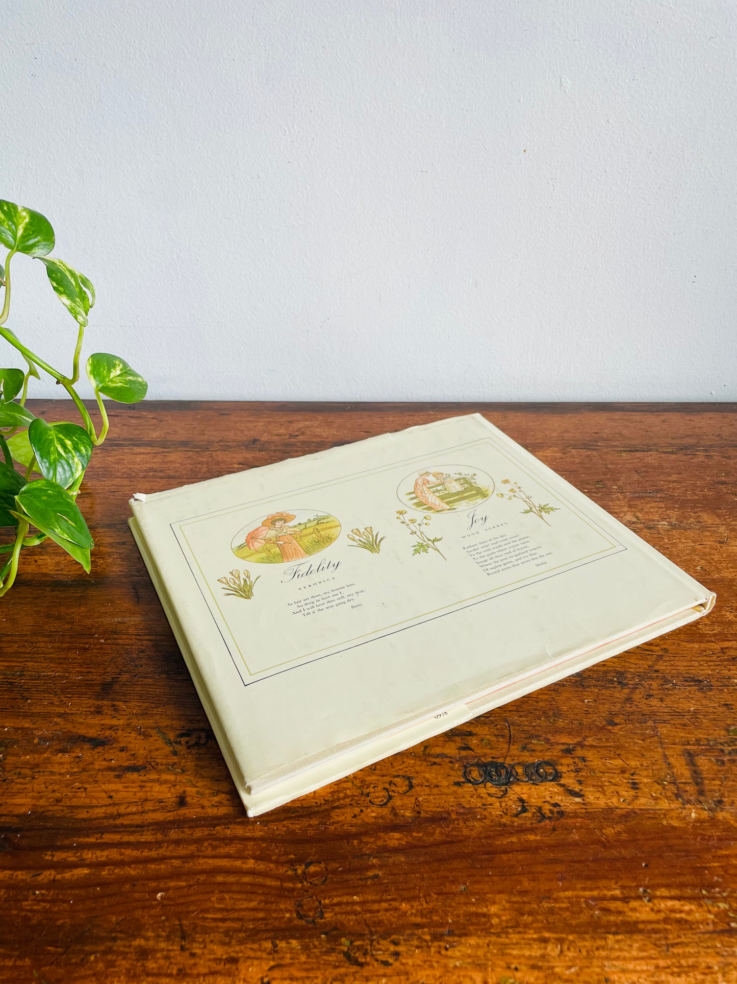 Vintage The Illuminated Language of Flowers Hardcover Book Illustrated by Kate Greenaway with Text by Jean Marsh (1978)