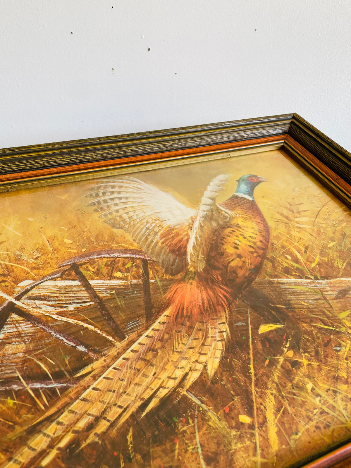 Vintage Print Picture of a Wild Pheasant Bird in Wood Frame - A Windsor Art Product - No Shipping
