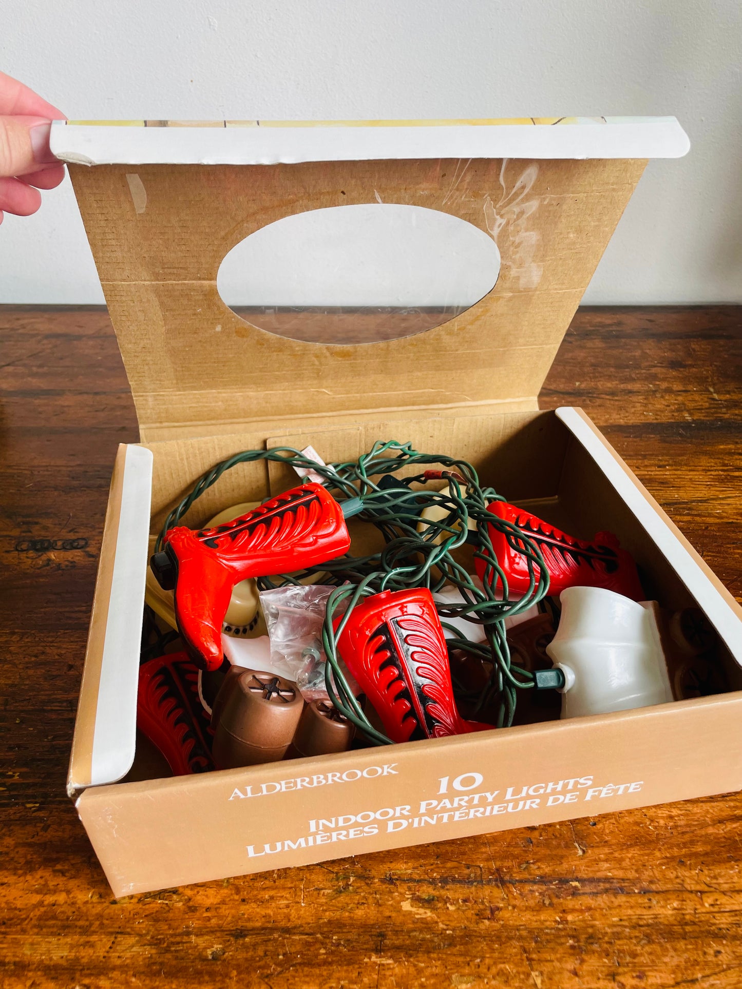 Vintage Alderbrook Western Cowboy Themed 10 Indoor Party String Lights - Box D (One Box)
