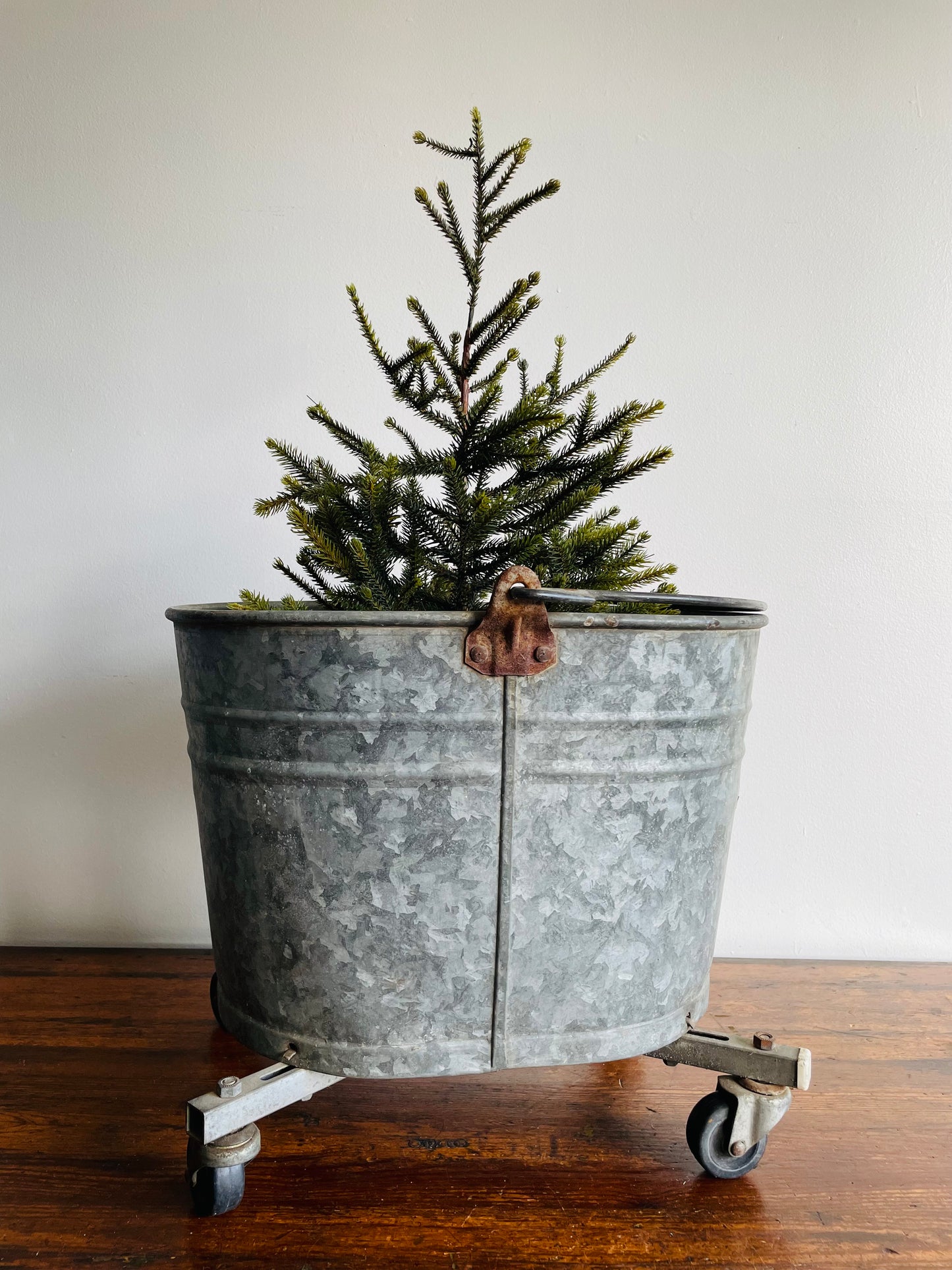 Rustic Galvanized Steel Mop Bucket on Caster Wheels with Handle - White Mop Wringer Co. of Canada - Paris, Ontario