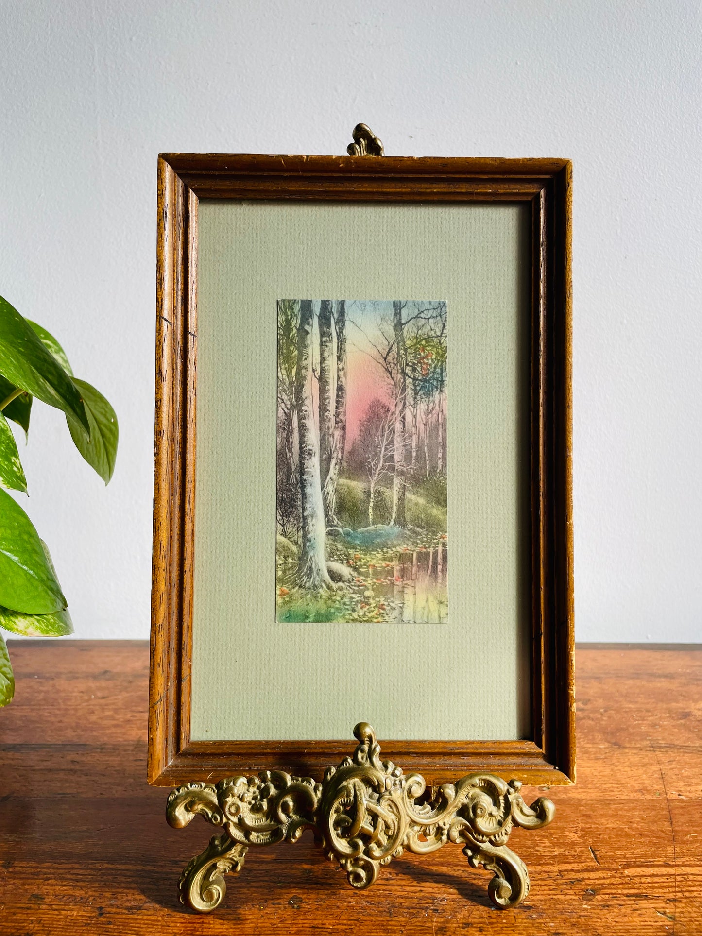 Framed Lithograph Print Picture of Sunrise Coming Through the Forest