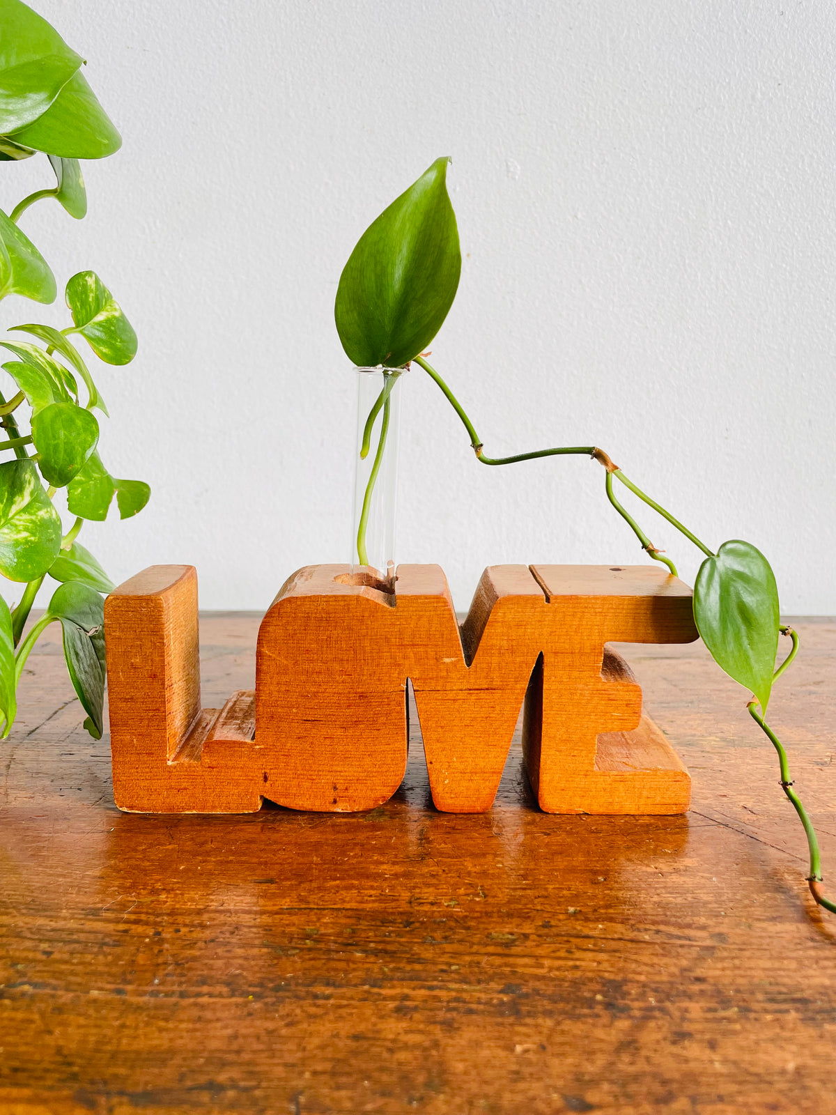 Vintage Carved Wood LOVE Propagation Station Bud Vase - Brant Florist Burlington, ON