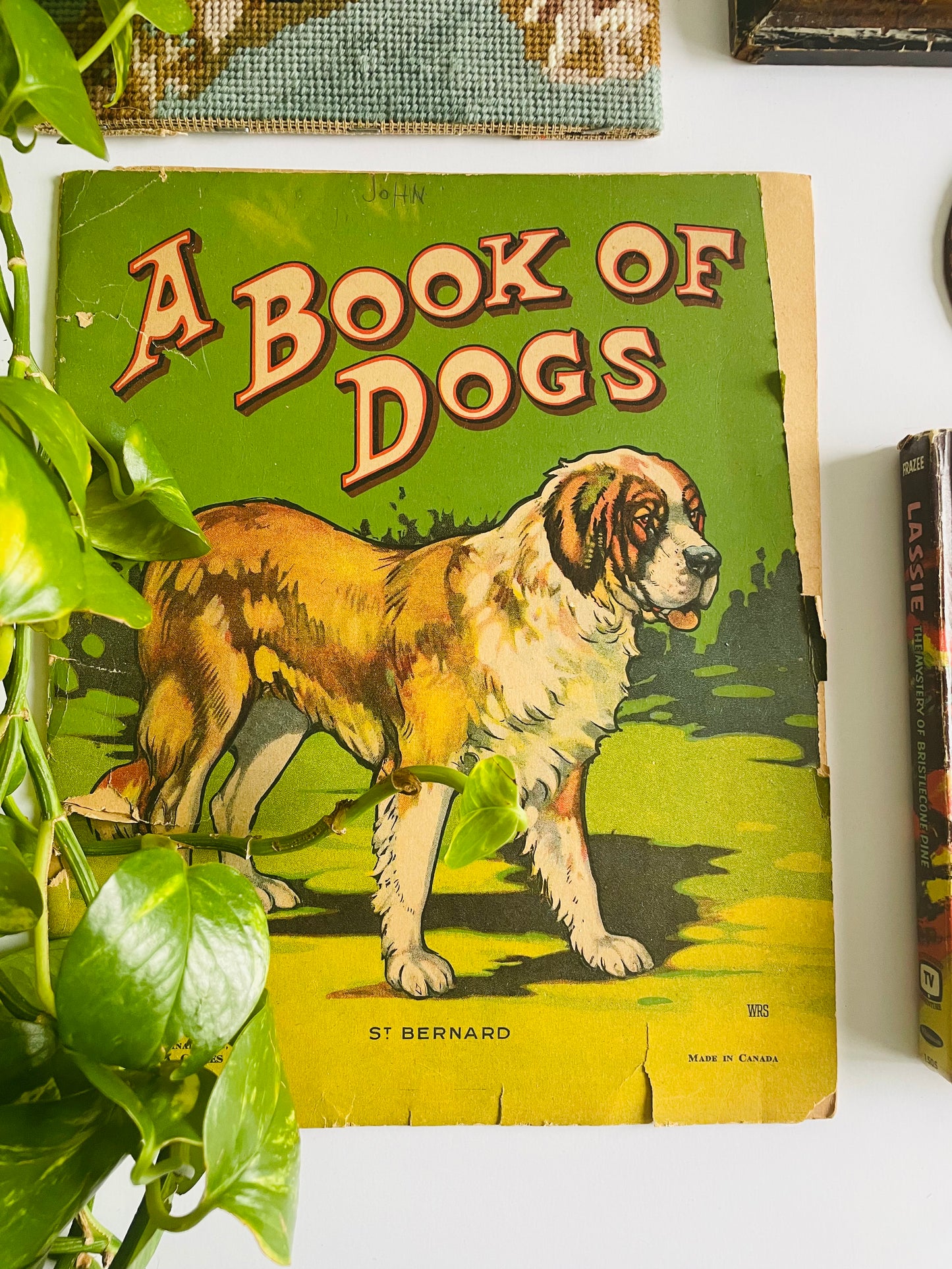 Antique A Book of Dogs - The Canada Games Co. (1921) - Fantastic Illustrations for Prints & Framing!