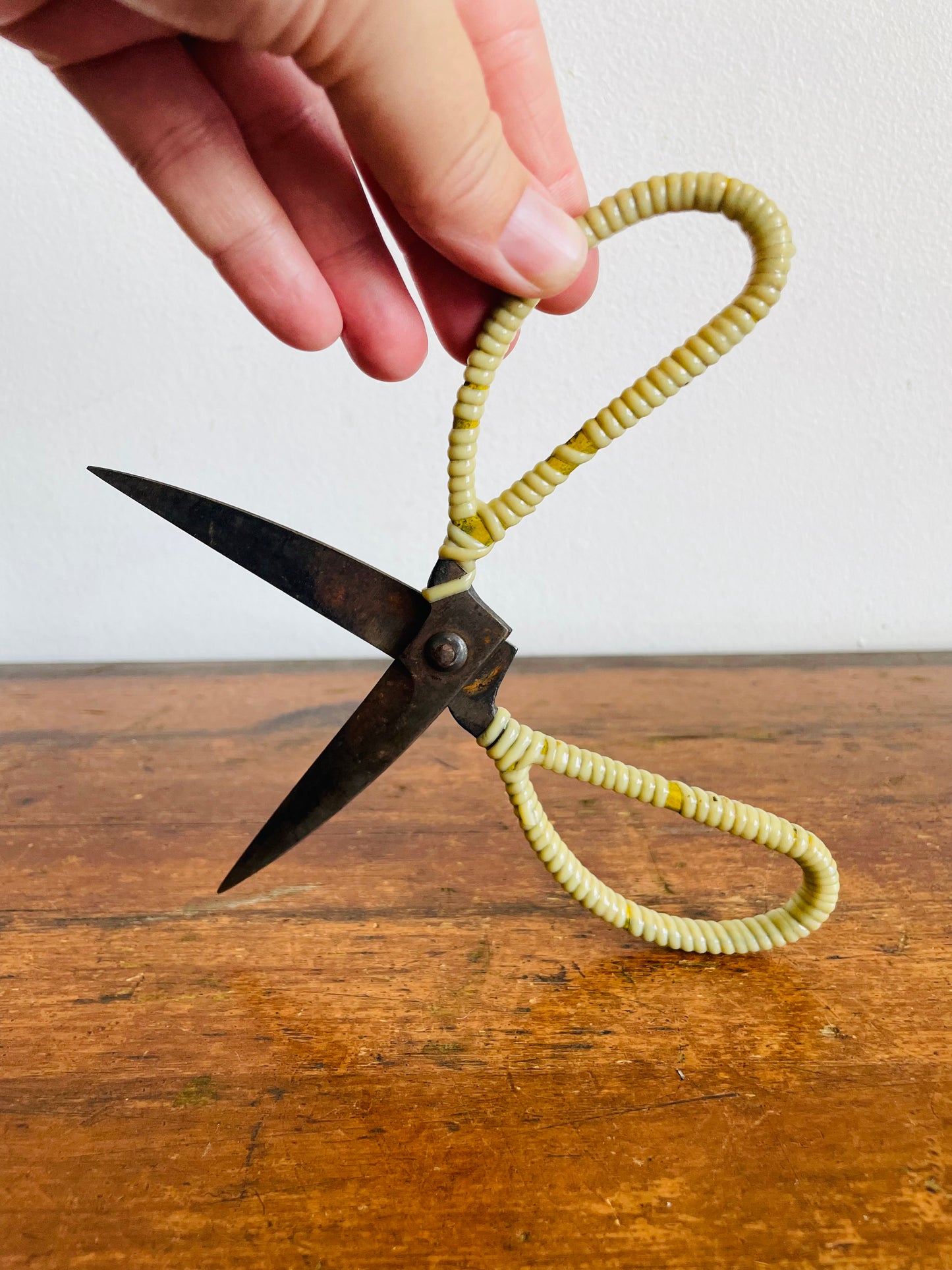 Vintage Metal Scissor Shears