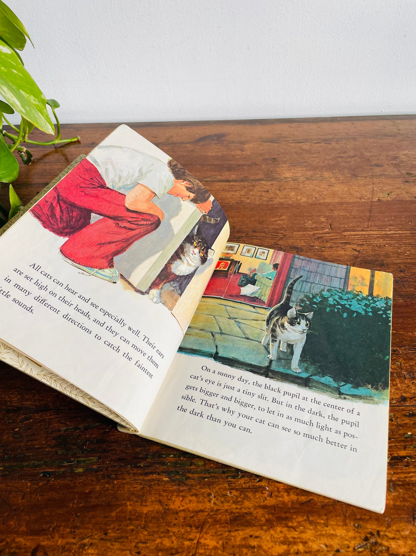 Vintage A Little Golden Book - Cats - Hardcover (1976)