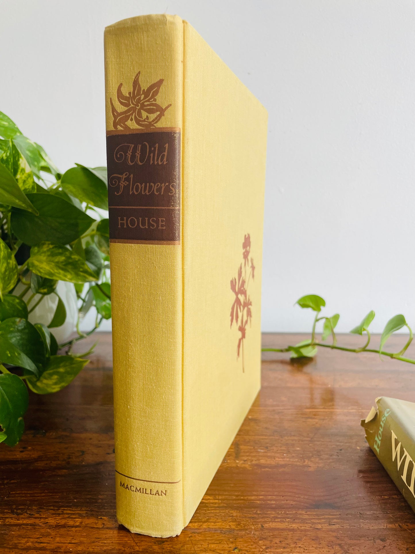 Wild Flowers Hardcover Book by Homer D. House (1974)