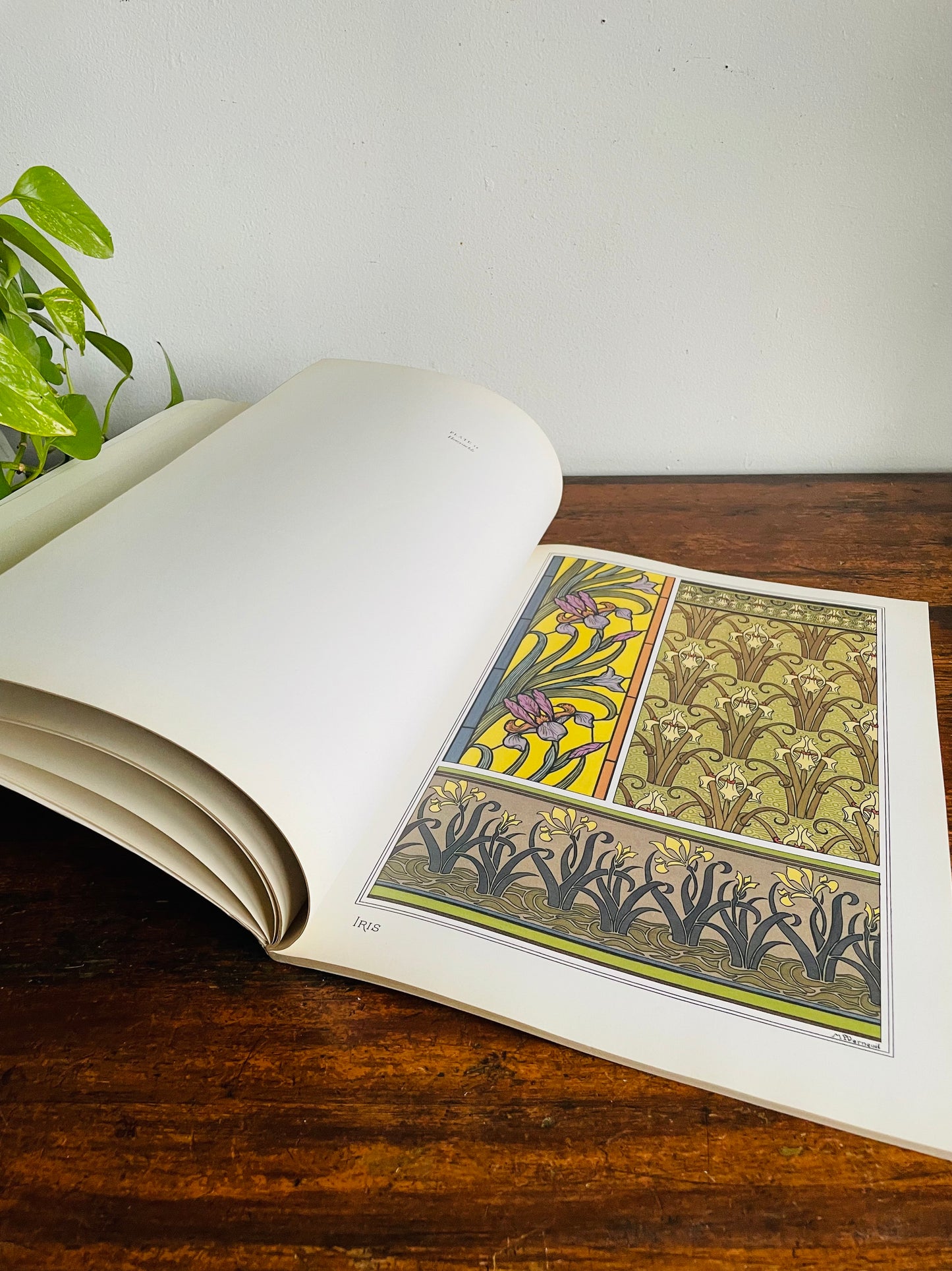 Vintage Art Nouveau Floral Designs Book by Eugene Grasset - With 40 Full Colour Plates (1988)