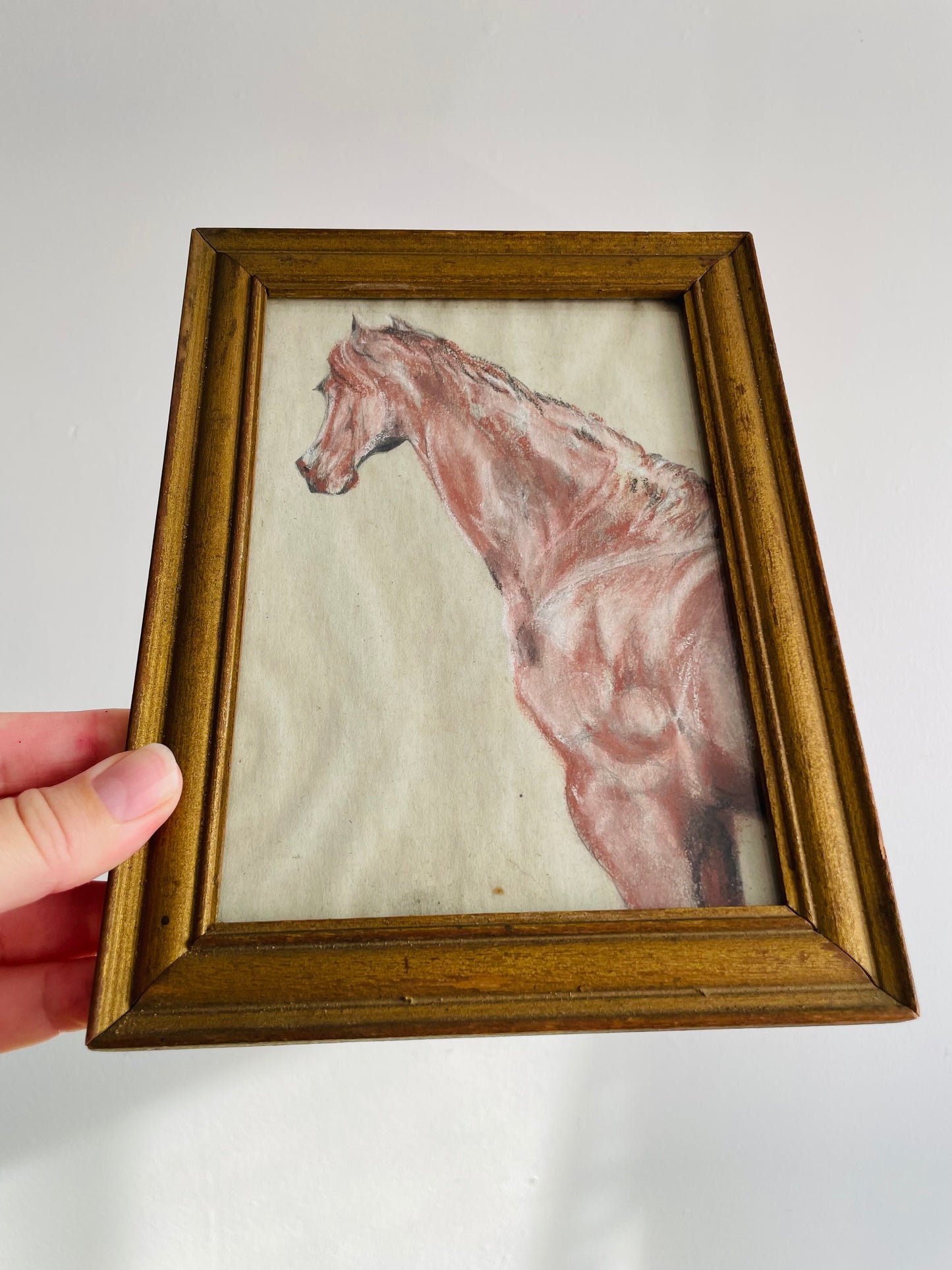 Original Art Framed Pastel Sketch of Horse