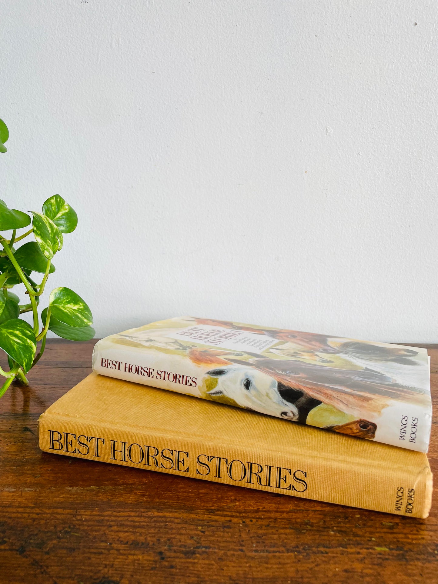 Vintage Best Horse Stories Hardcover Book Compiled by Lesley O'Mara - Dickens, Twain, Sewell, Herriot, Kipling, & More (1991)
