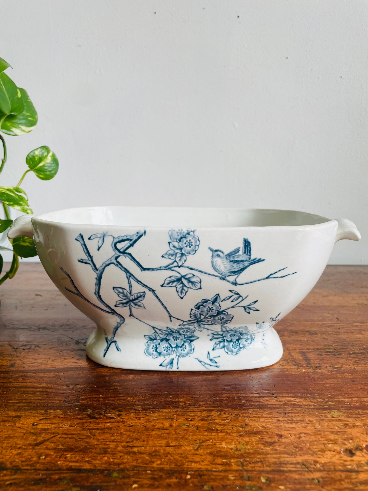 Antique Faiança Fina / Fine Earthenware Fábrica d'Alcântara Lisbon Portugal Tureen Planter Pot Bowl with Blue Bird & Flower Transferware Design & Handles