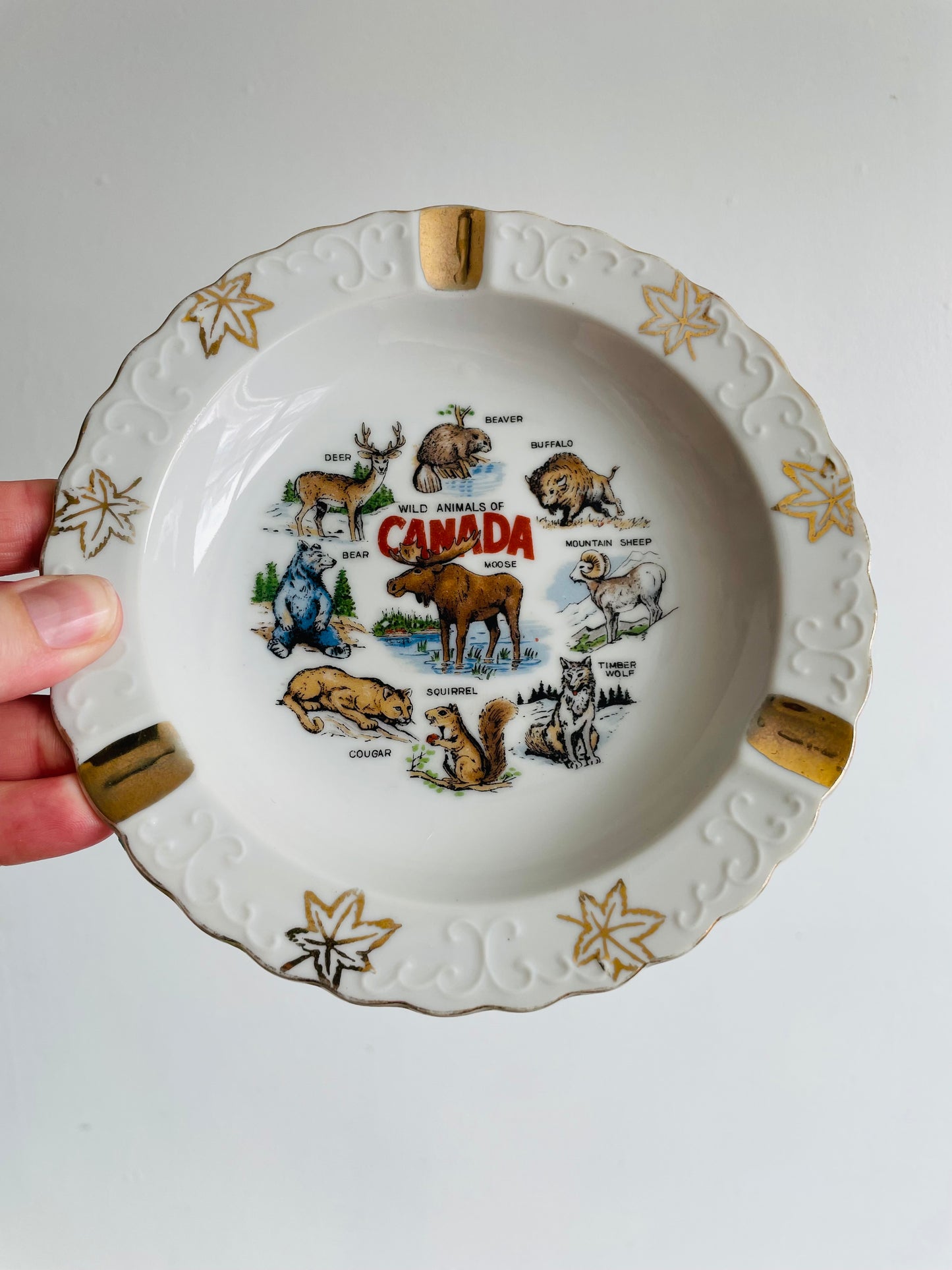 Wild Animals of Canada Ashtray or Trinket Dish - Made in Japan