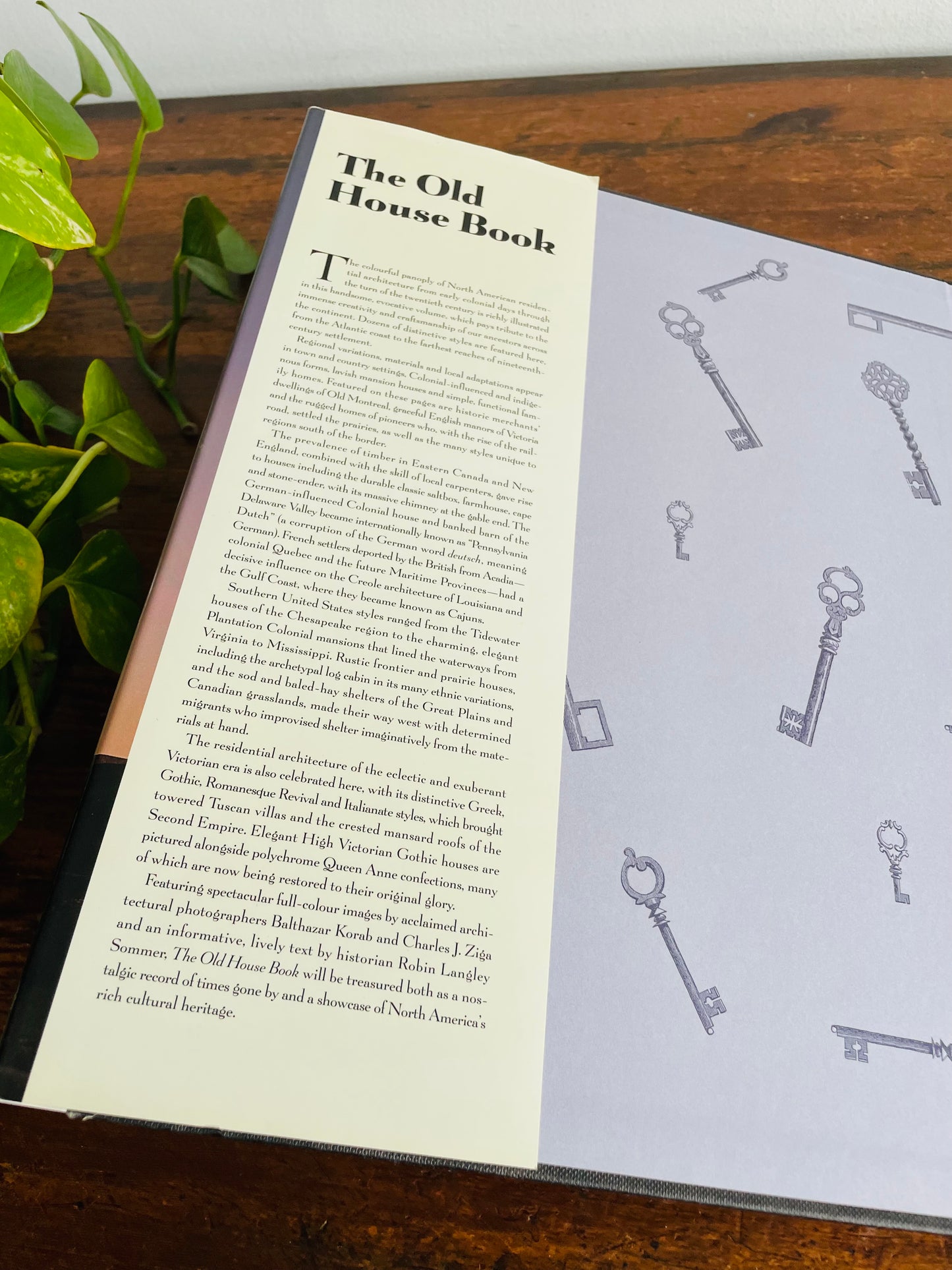 Vintage The Old Houses Book Hardcover Coffee Table Book by Robin Langley Sommer (1999)