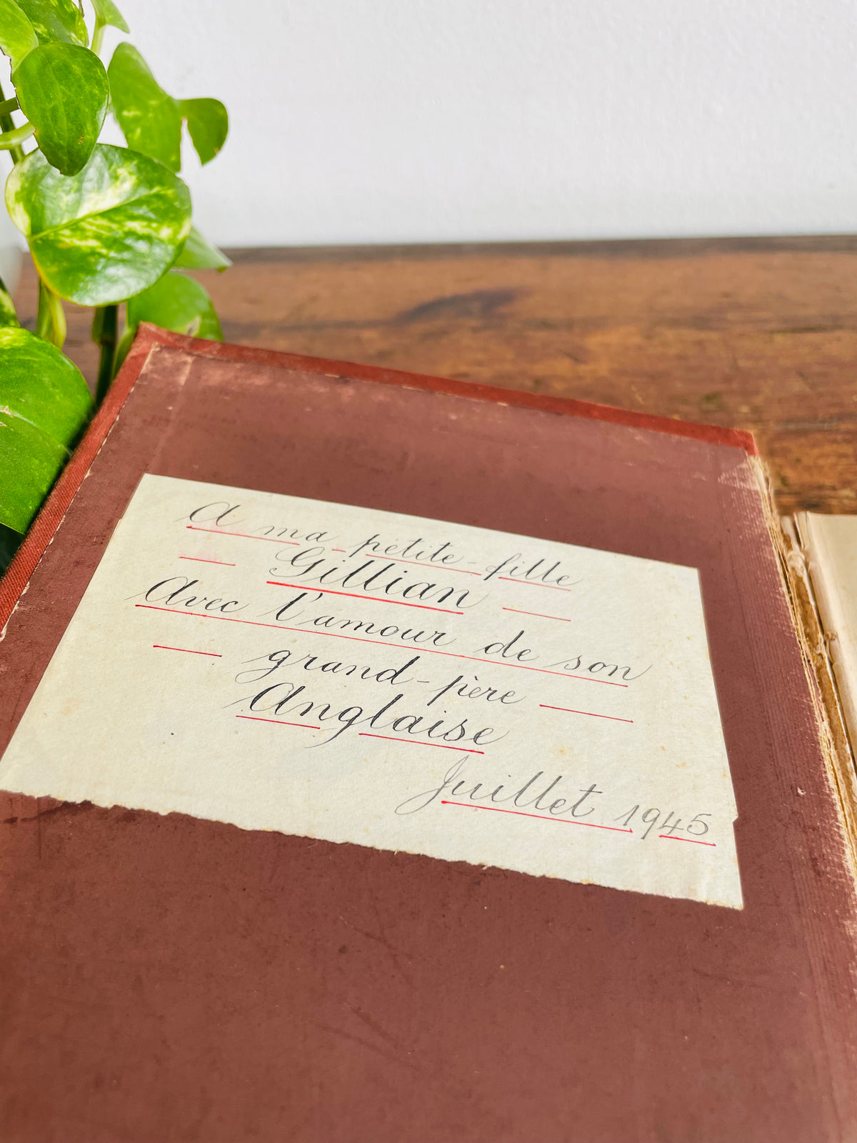 Vintage 1940s Child's Book of French & English Embossed Hardcover Book - Illustrated with 150 Engravings