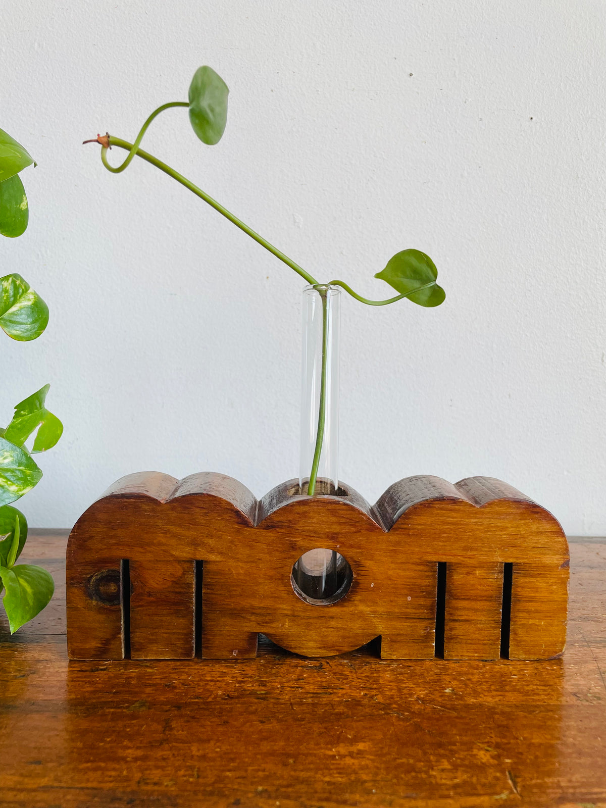 Vintage Carved Wood MOM Propagation Station Bud Vase - Handmade in Canada