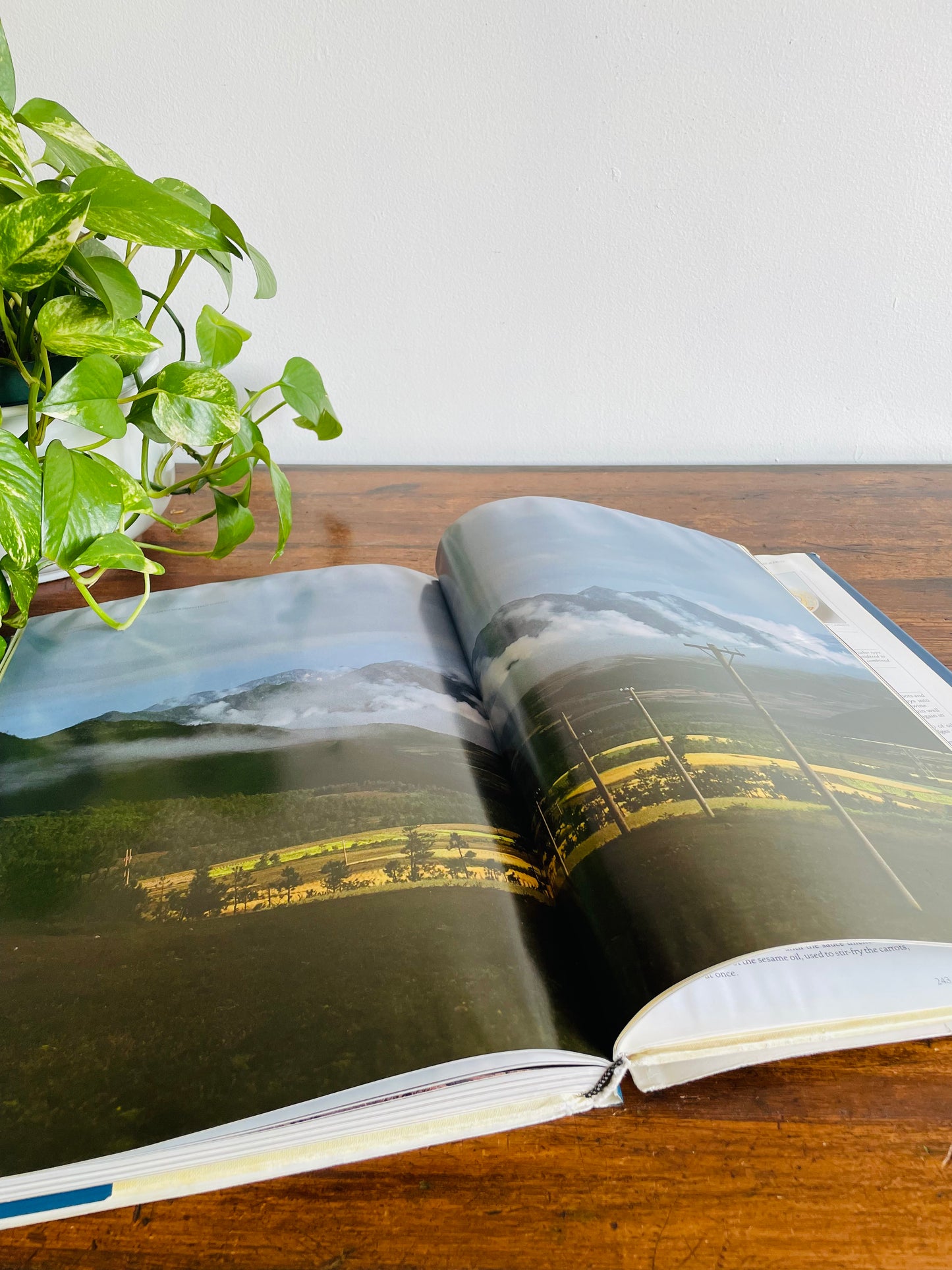 China: The Beautiful Cookbook - Giant Hardcover Book with Photos (1992)