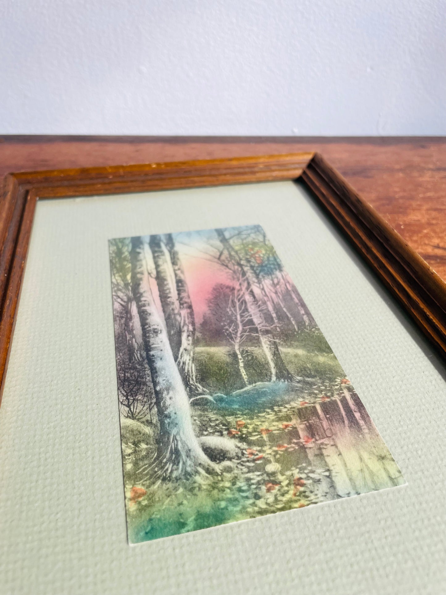 Framed Lithograph Print Picture of Sunrise Coming Through the Forest