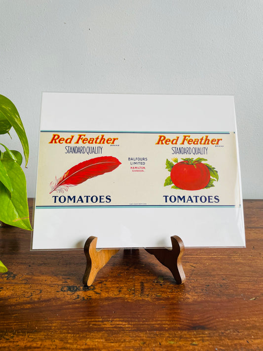 1930s Brand New Unused Canning Label - Red Feather Brand Standard Quality Tomatoes - Balfours Limited Hamilton, Canada #2