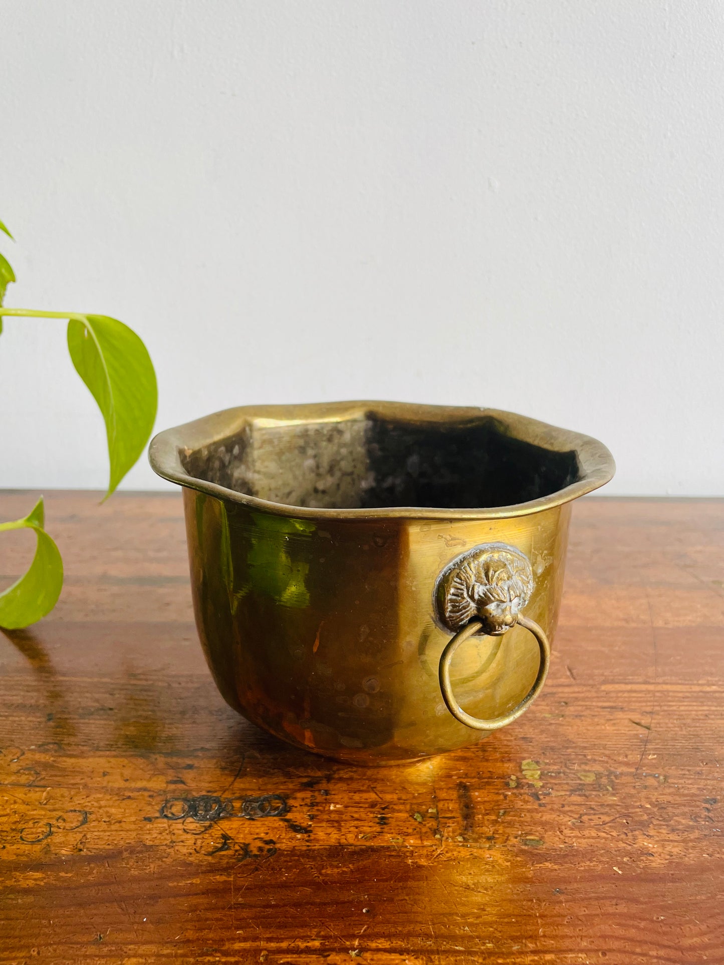 Brass Planter Pot with Lion Head Handles - Made in India