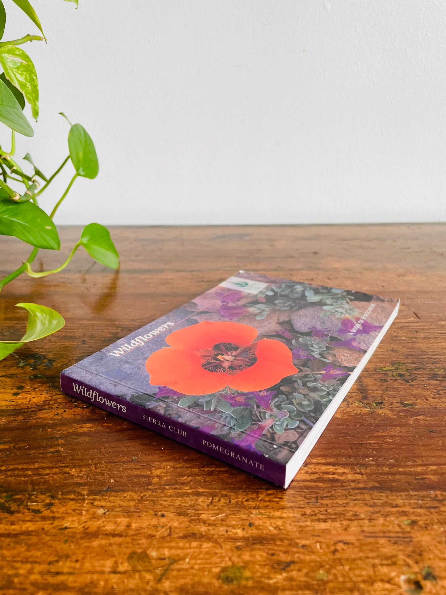 Vintage Sierra Club Book of Wildflower Postcards - Larry Ulrich Photography (2004) - Includes 23 Flower Postcards