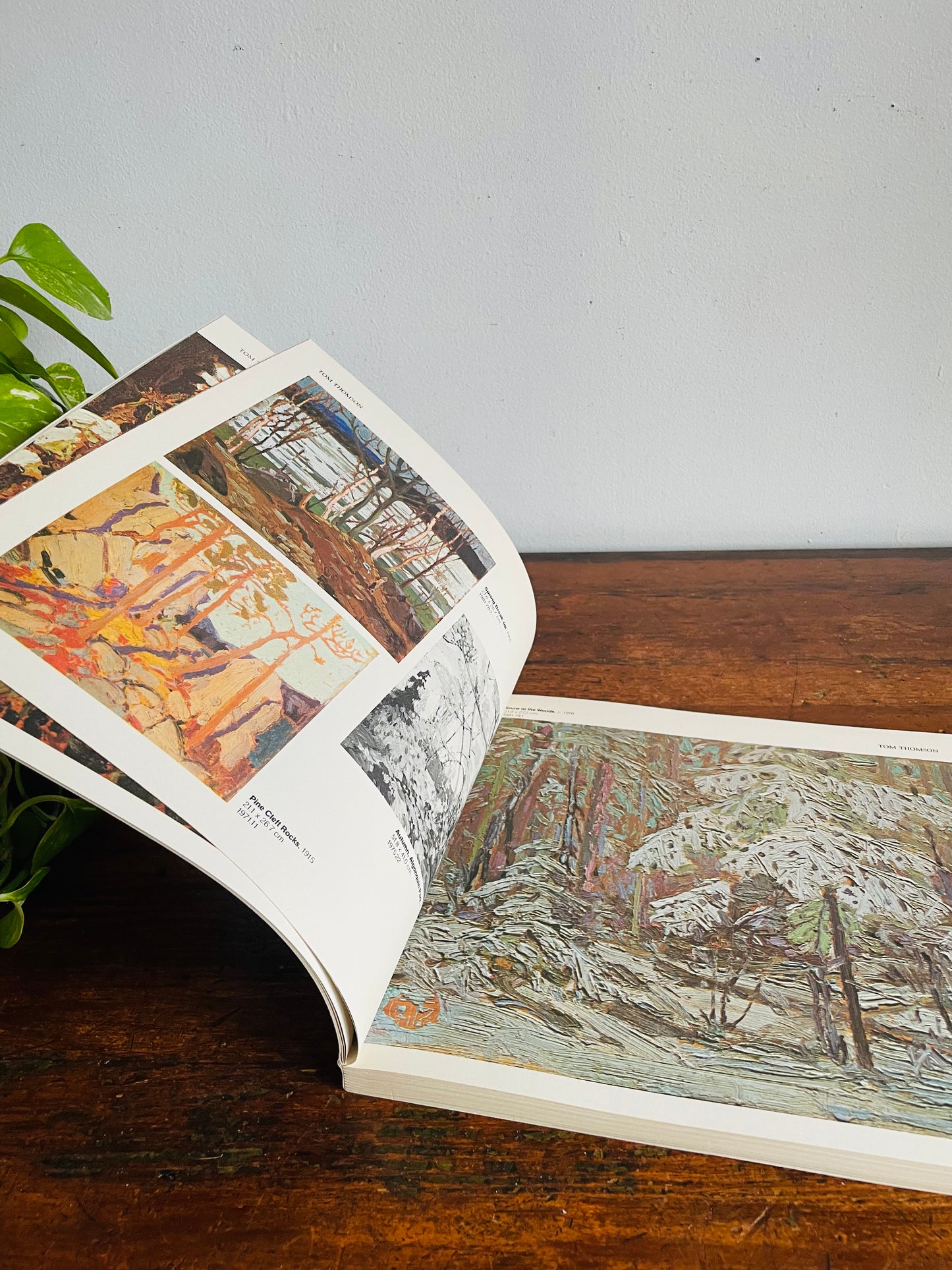 Vintage The McMichael Canadian Collection Art Book (1983)