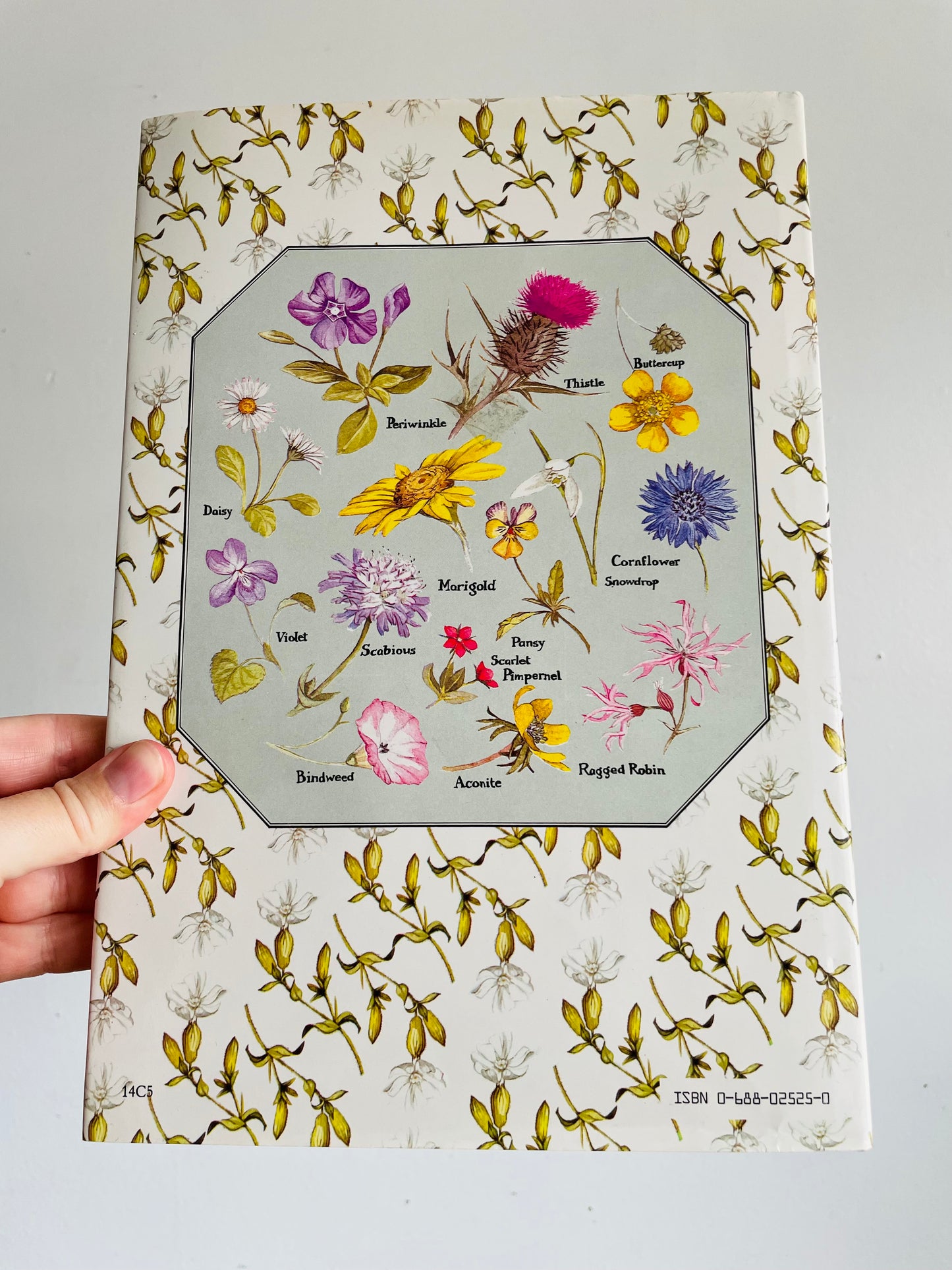 Vintage A Wild Flower Alphabet Hardcover Book by Elizabeth Cameron (1984) - Gorgeous Illustrations!