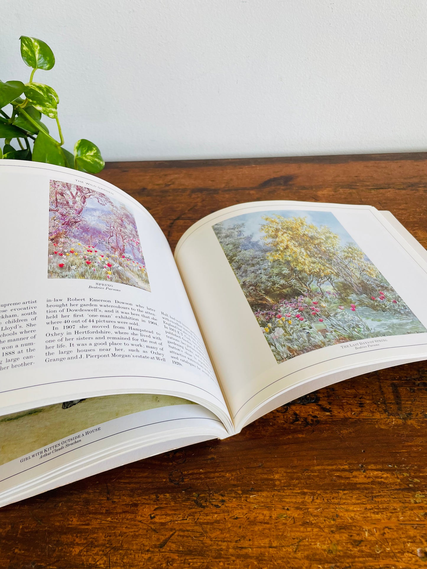 Vintage Victorian Flower Gardens Book by Andrew Clayton-Payne & Brent Elliott - Gorgeous Illustrations! (1988)