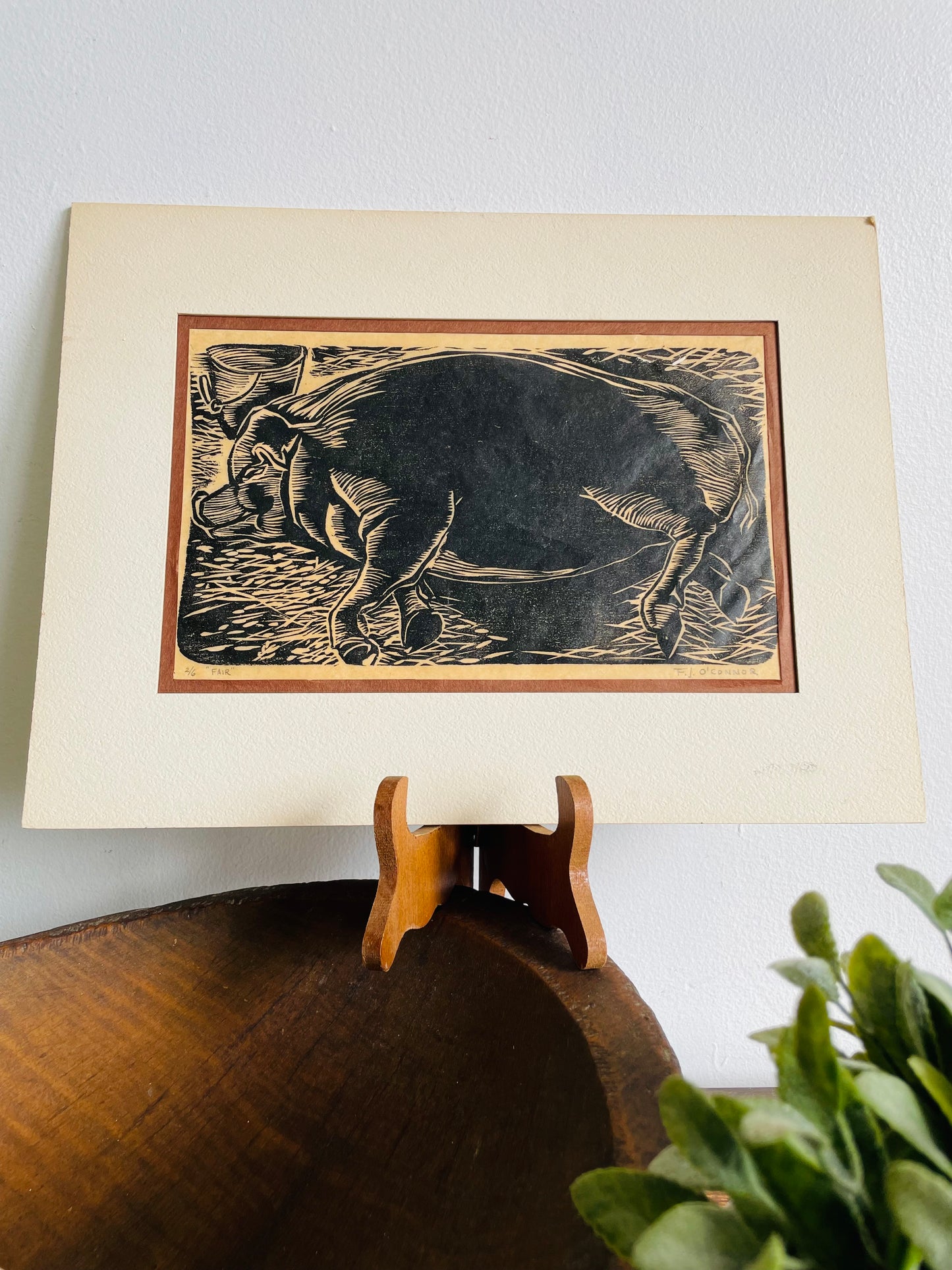 Matted Woodcut Print Picture of Prize Sow Pig - Signed & Numbered - 2/6 "Fair" by F.J. O'Connor