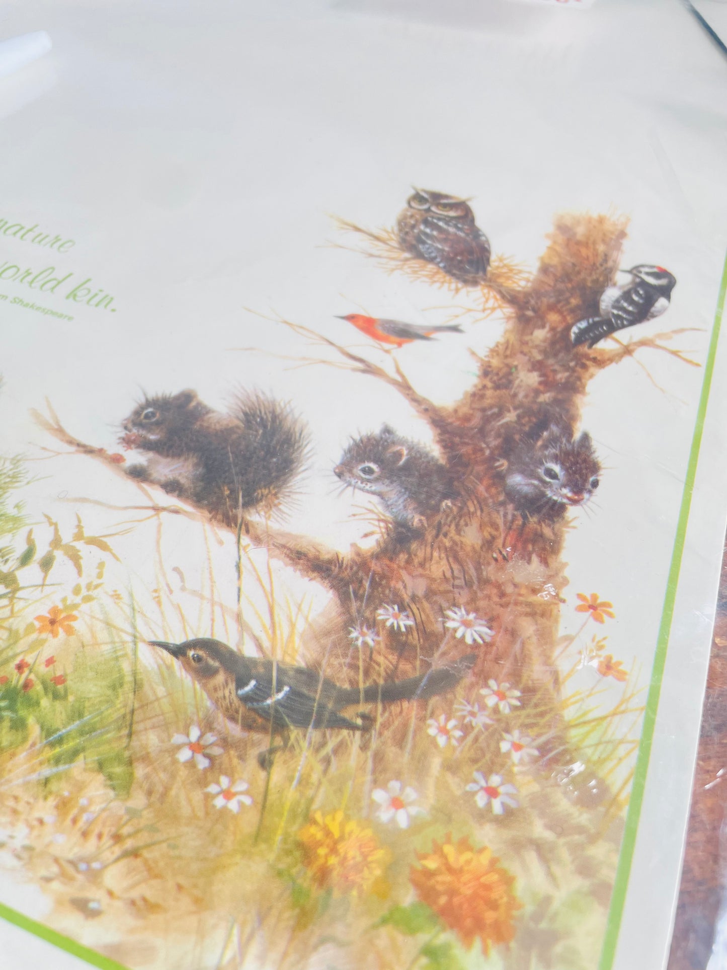 Vintage New Old Stock Bright Crest Ltd. Dry Erase Memo Board with Adorable Forest Animal Graphics - Write On / Write Off - One Touch of Nature Makes the Whole World Kin - No Shipping
