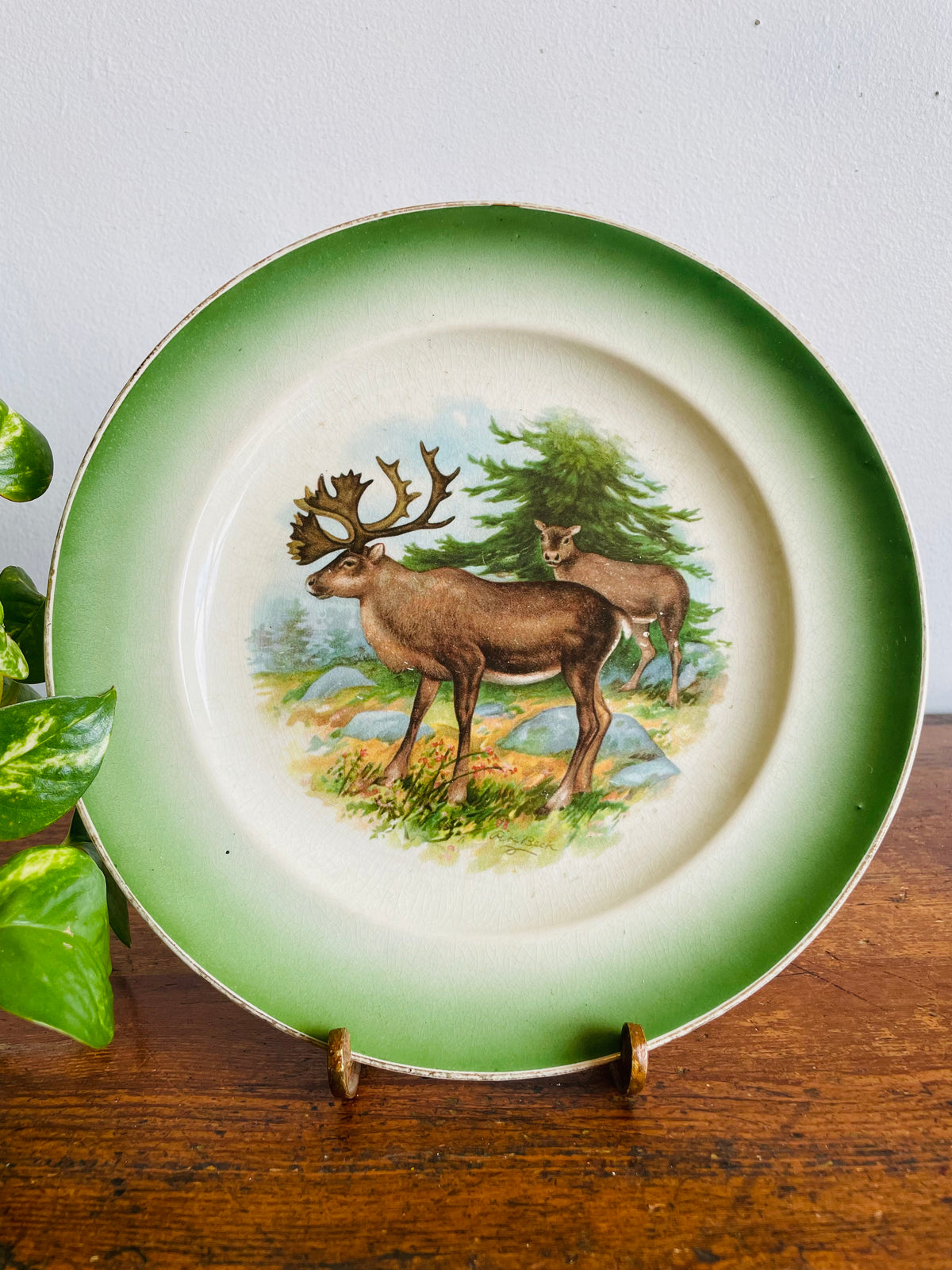 Antique Buffalo Pottery Plate with Caribou in Forest Nature Design - Includes Optional Plate Hanger