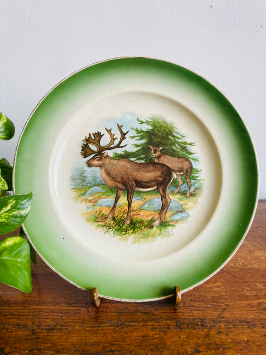 Antique Buffalo Pottery Plate with Caribou in Forest Nature Design - Includes Optional Plate Hanger