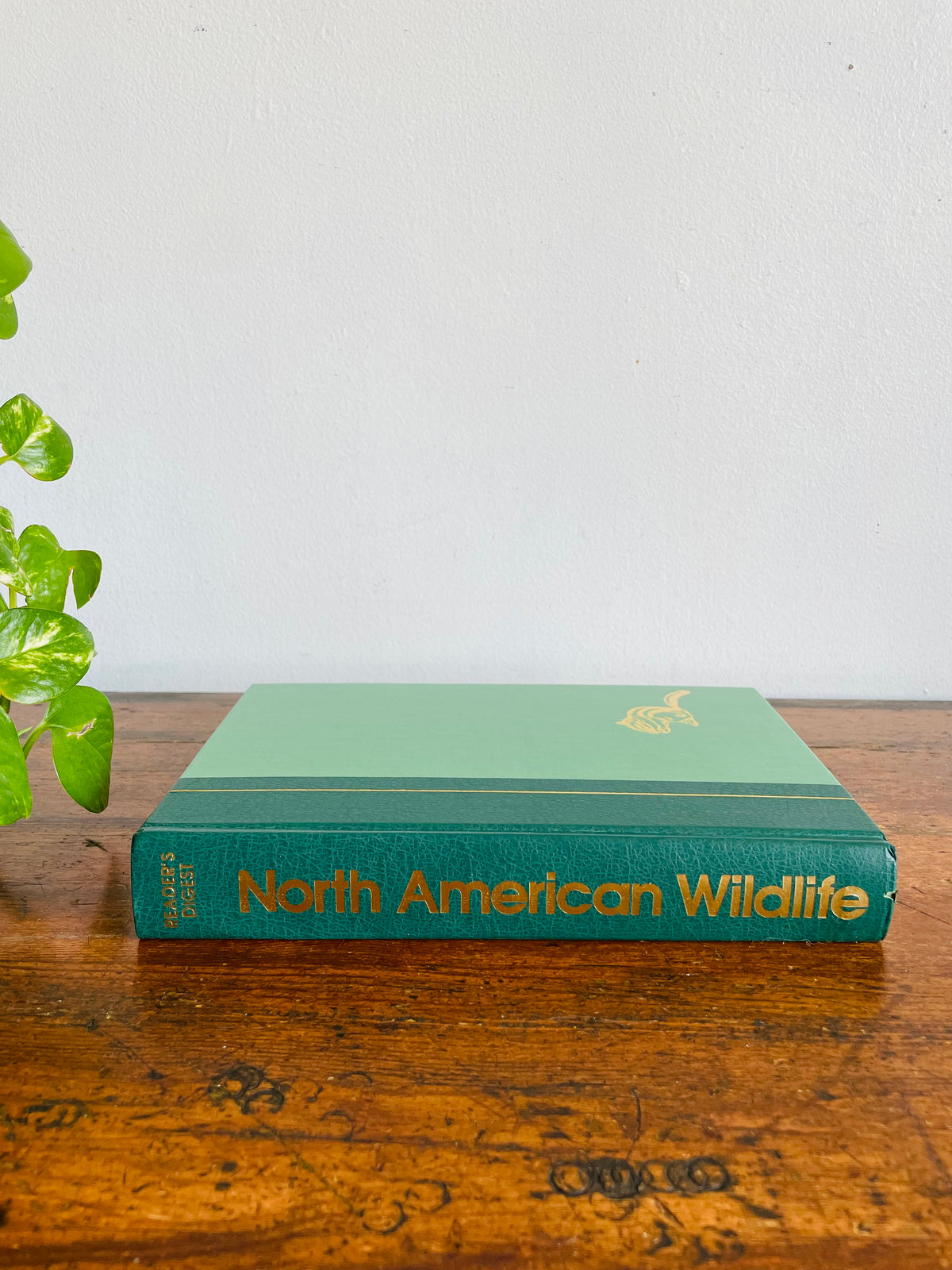 Vintage Reader's Digest North American Wildlife Hardcover Nature Guide Book with Illustrations (1982)