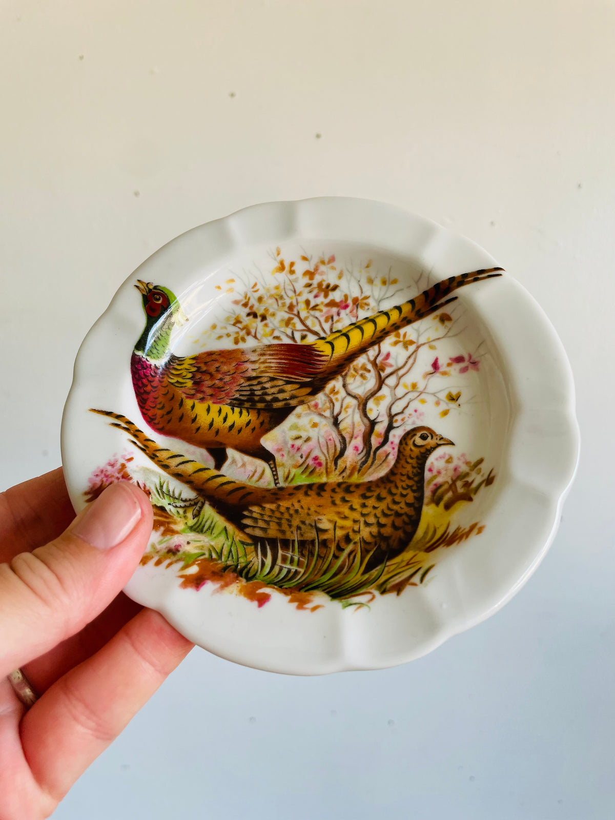 Vintage FD Chauvigny Porcelain Trinket Dish Plate with Pheasant Bird Design - Made in France