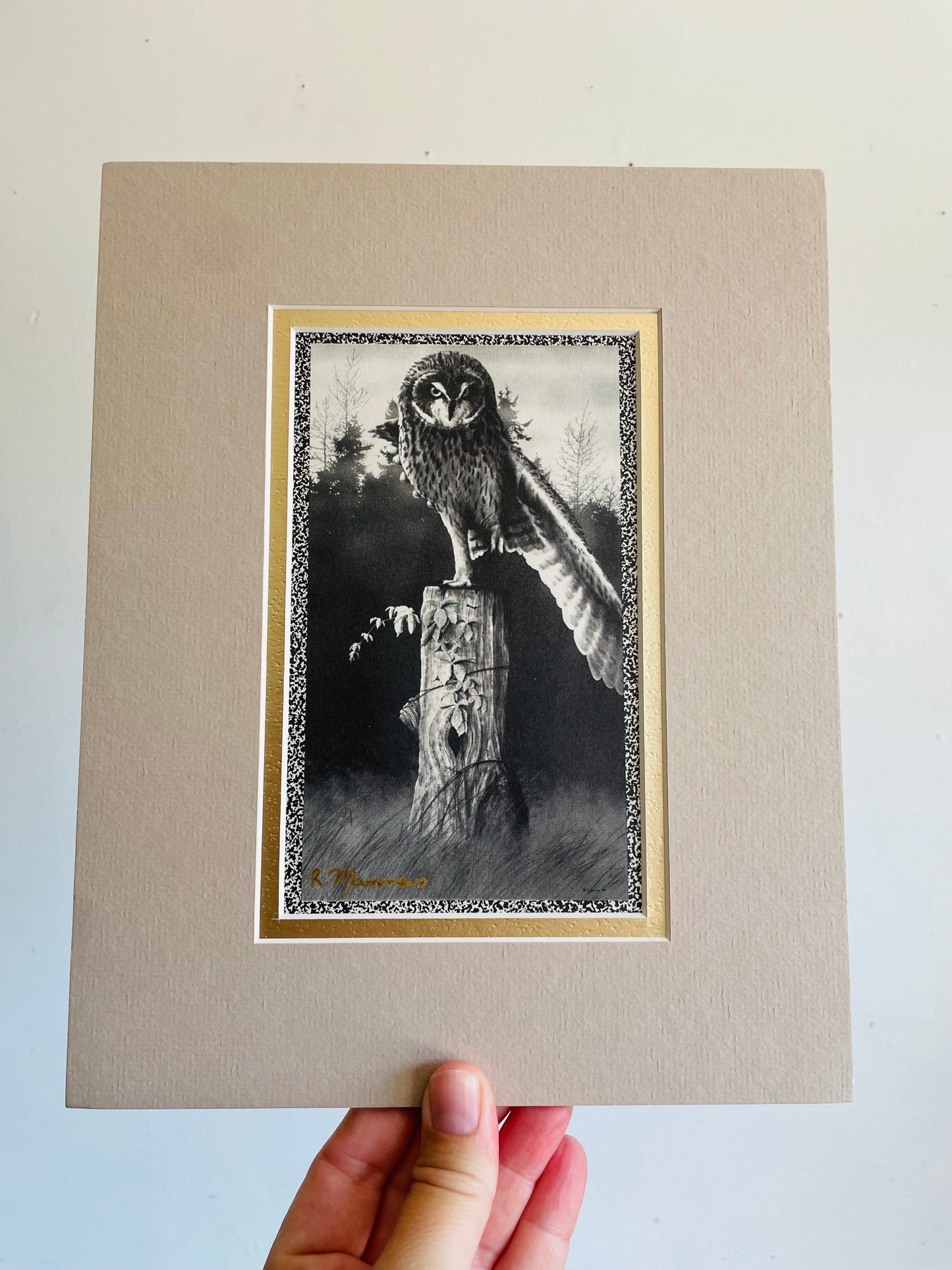 Vintage Black & White Photograph Print Picture of Owl on Tree Trunk with Forest Background - 8” x 10” - Matted & Ready to Frame