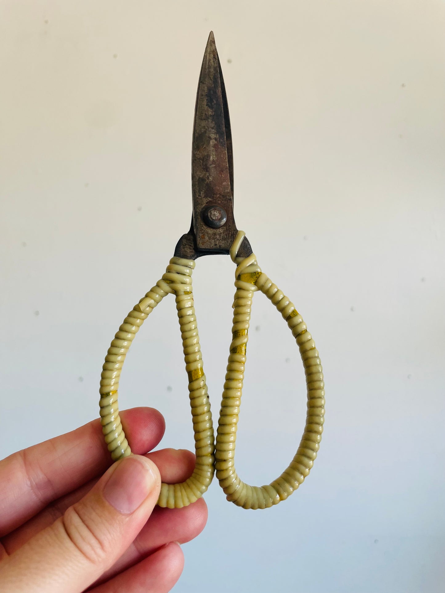 Vintage Metal Scissor Shears