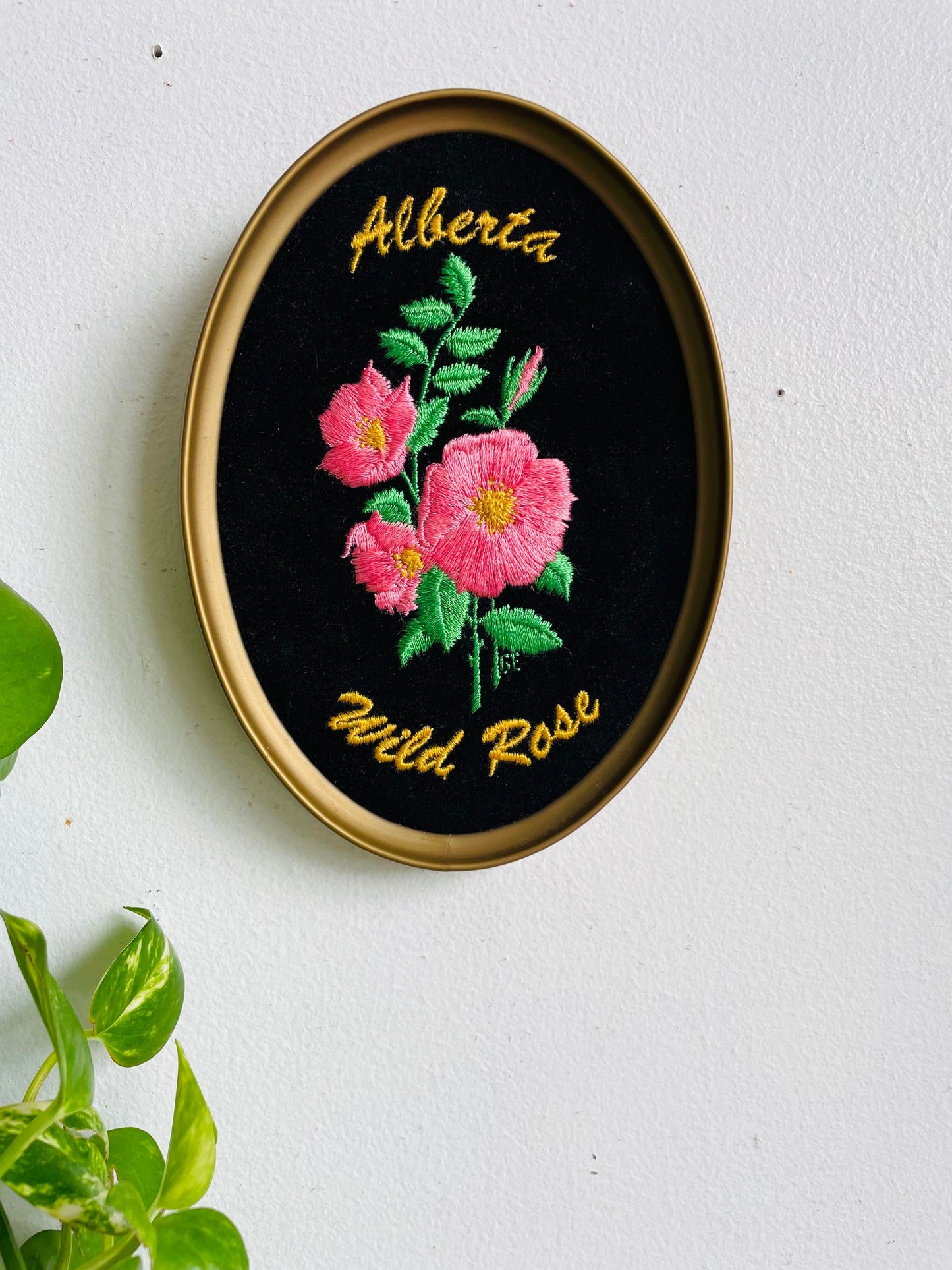 Vintage Alberta Wild Rose Embroidery on Black Velvet Oval Framed Picture