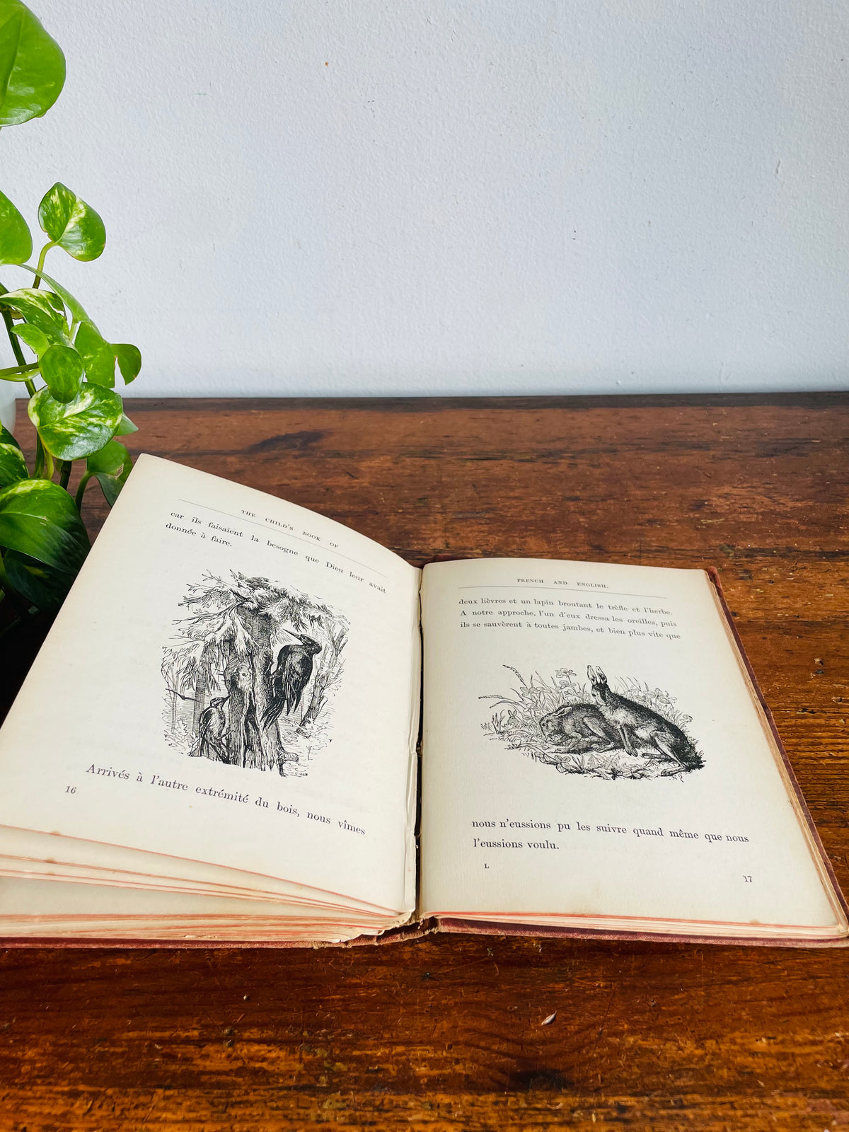 Vintage 1940s Child's Book of French & English Embossed Hardcover Book - Illustrated with 150 Engravings