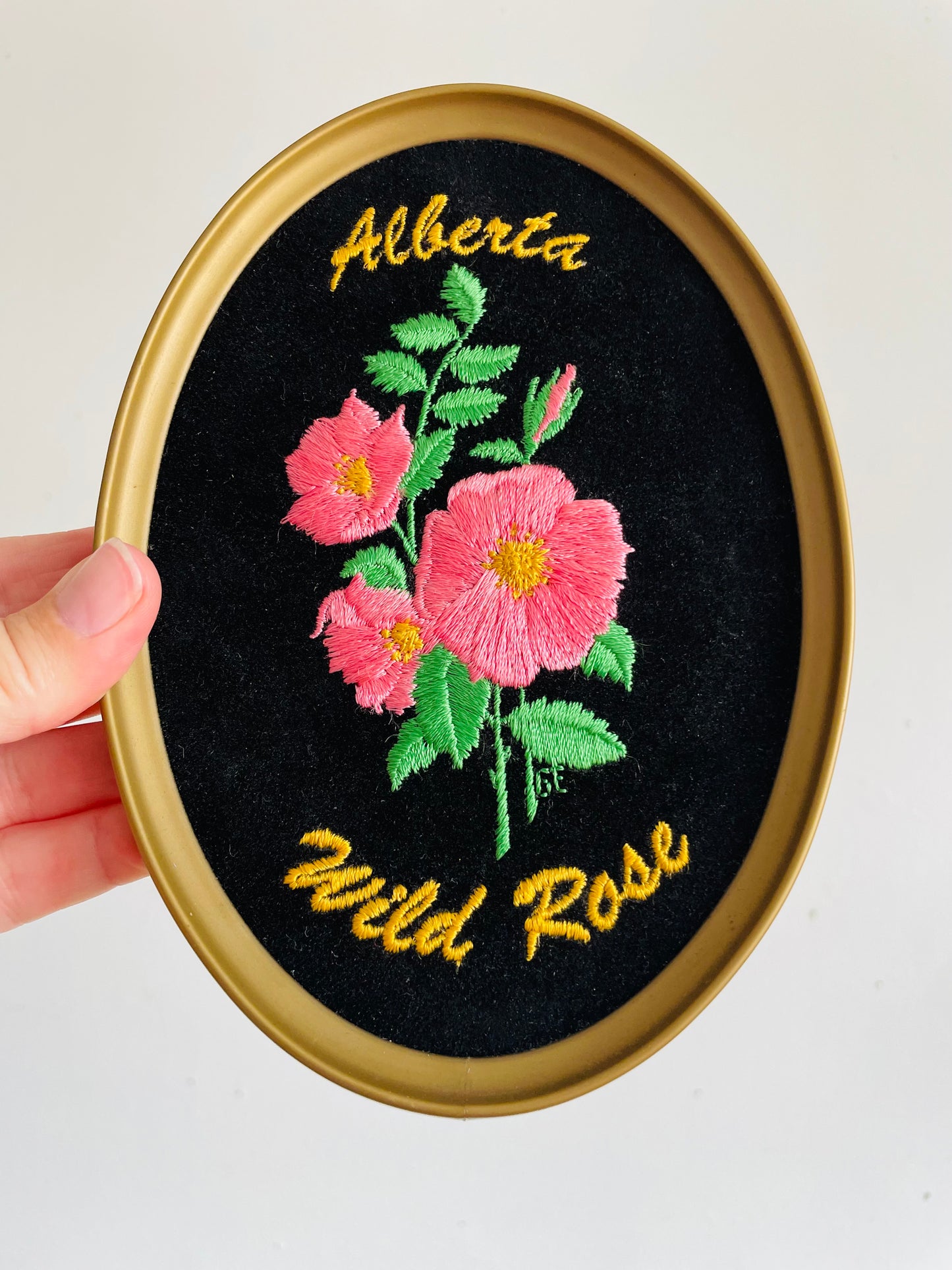 Vintage Alberta Wild Rose Embroidery on Black Velvet Oval Framed Picture