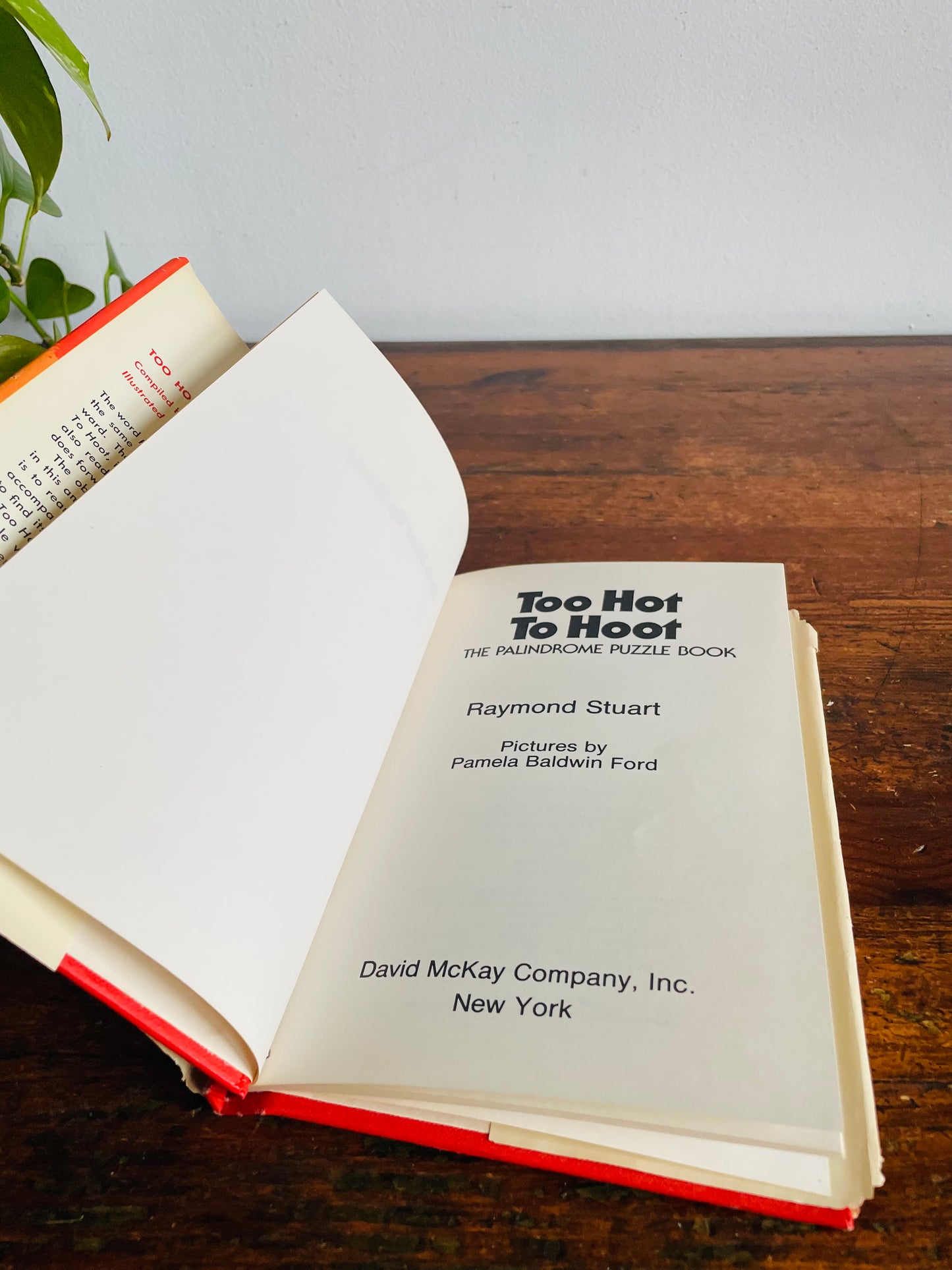 Vintage Too Hot to Hoot: The Palindrome Puzzle Hardcover Book by Raymond Stuart & Pictures by Pamela Ford (1977)