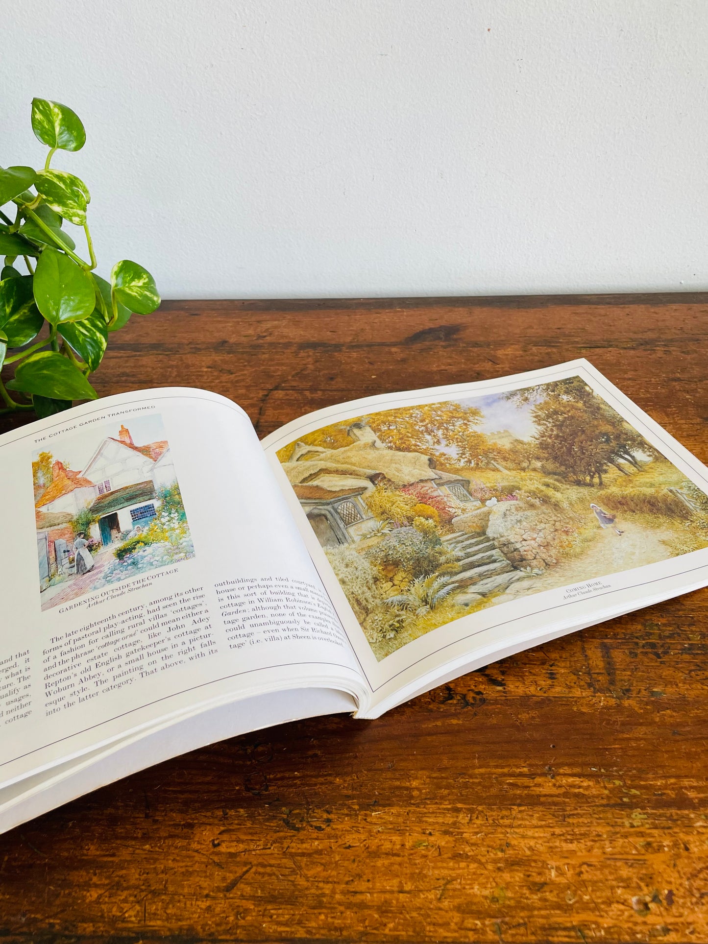 Vintage Victorian Flower Gardens Book by Andrew Clayton-Payne & Brent Elliott - Gorgeous Illustrations! (1988)