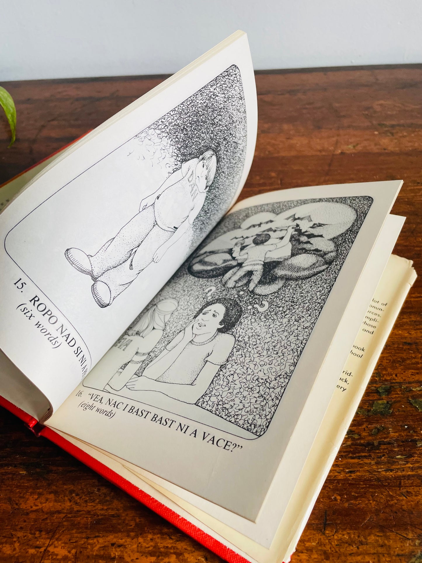 Vintage Too Hot to Hoot: The Palindrome Puzzle Hardcover Book by Raymond Stuart & Pictures by Pamela Ford (1977)