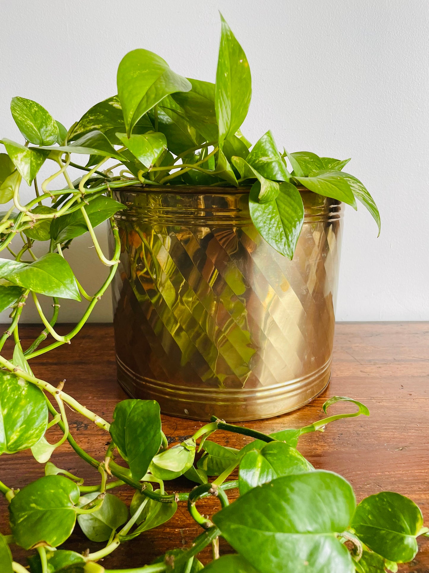 Giant Brass 11" Planter Pot Bucket - Made in India