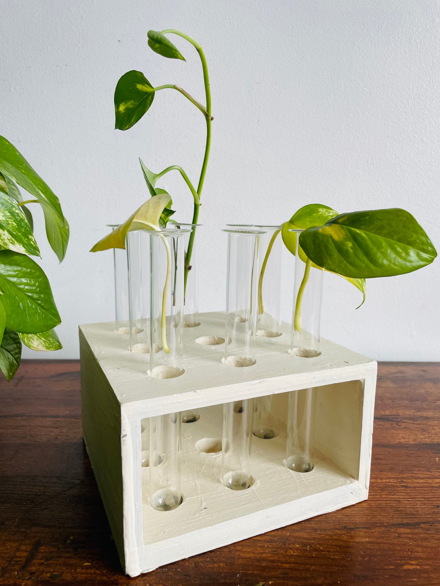 Handmade Wood Propagation Station with 8 Glass Test Tube Inserts