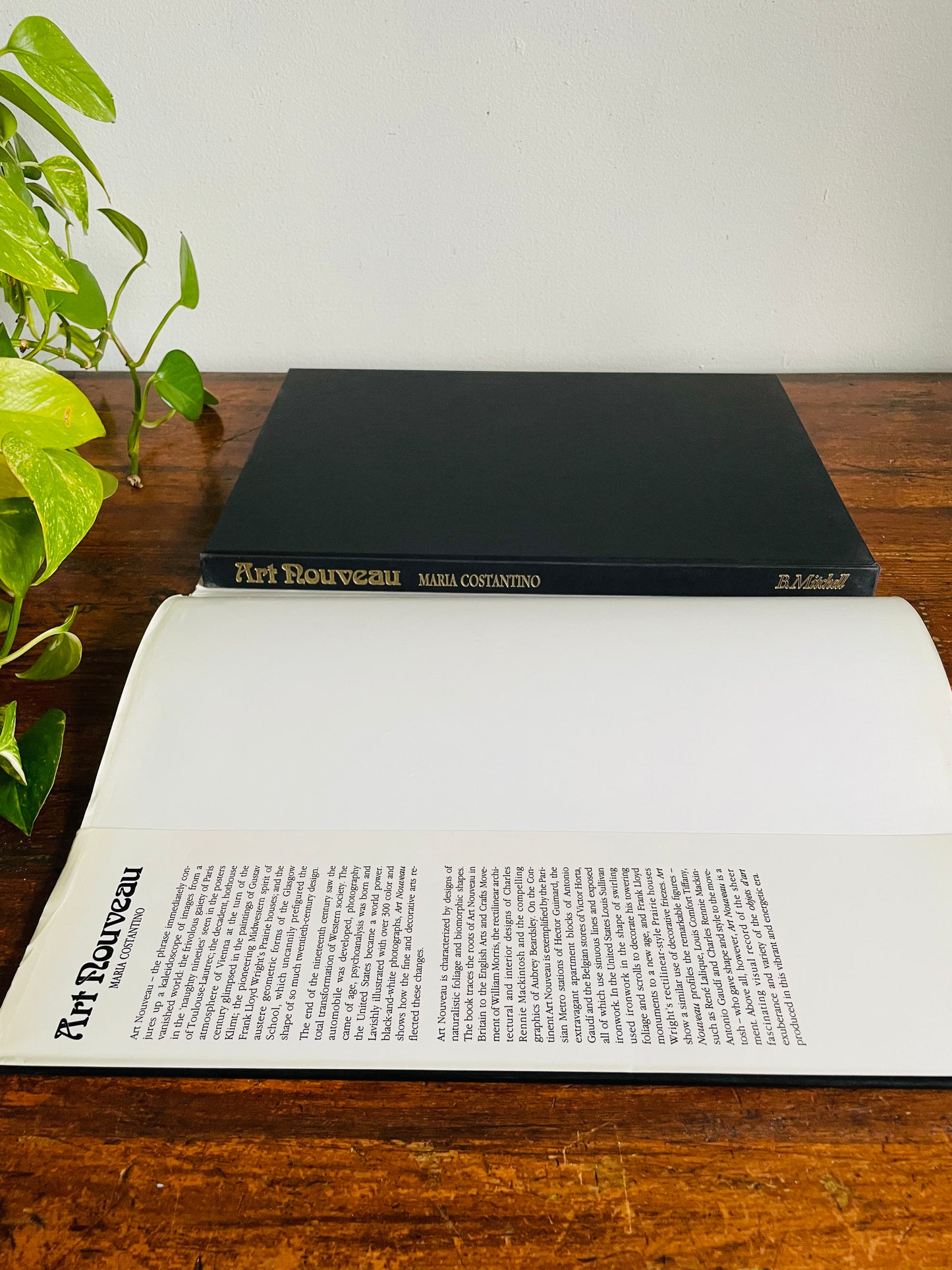 Vintage Art Nouveau Hardcover Coffee Table Book by Maria Costantino (1989)